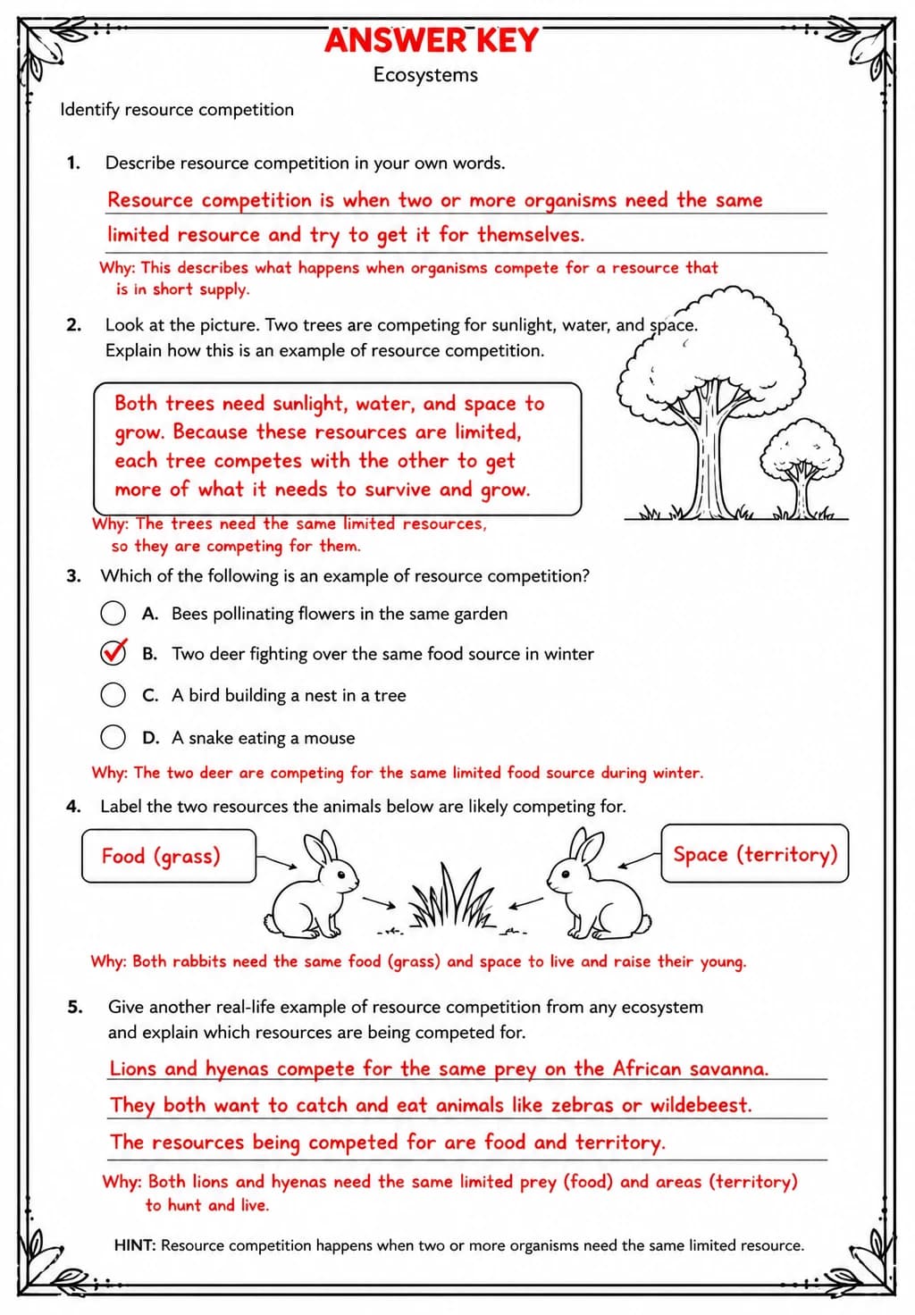 Answer key for Identify resource competition — free printable Science worksheet