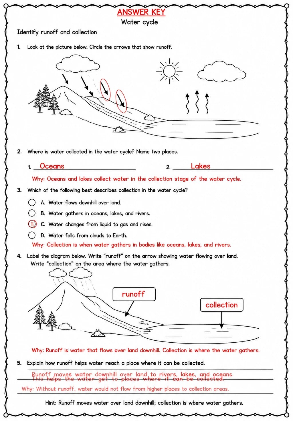 Answer key for Identify runoff and collection — free printable Science worksheet