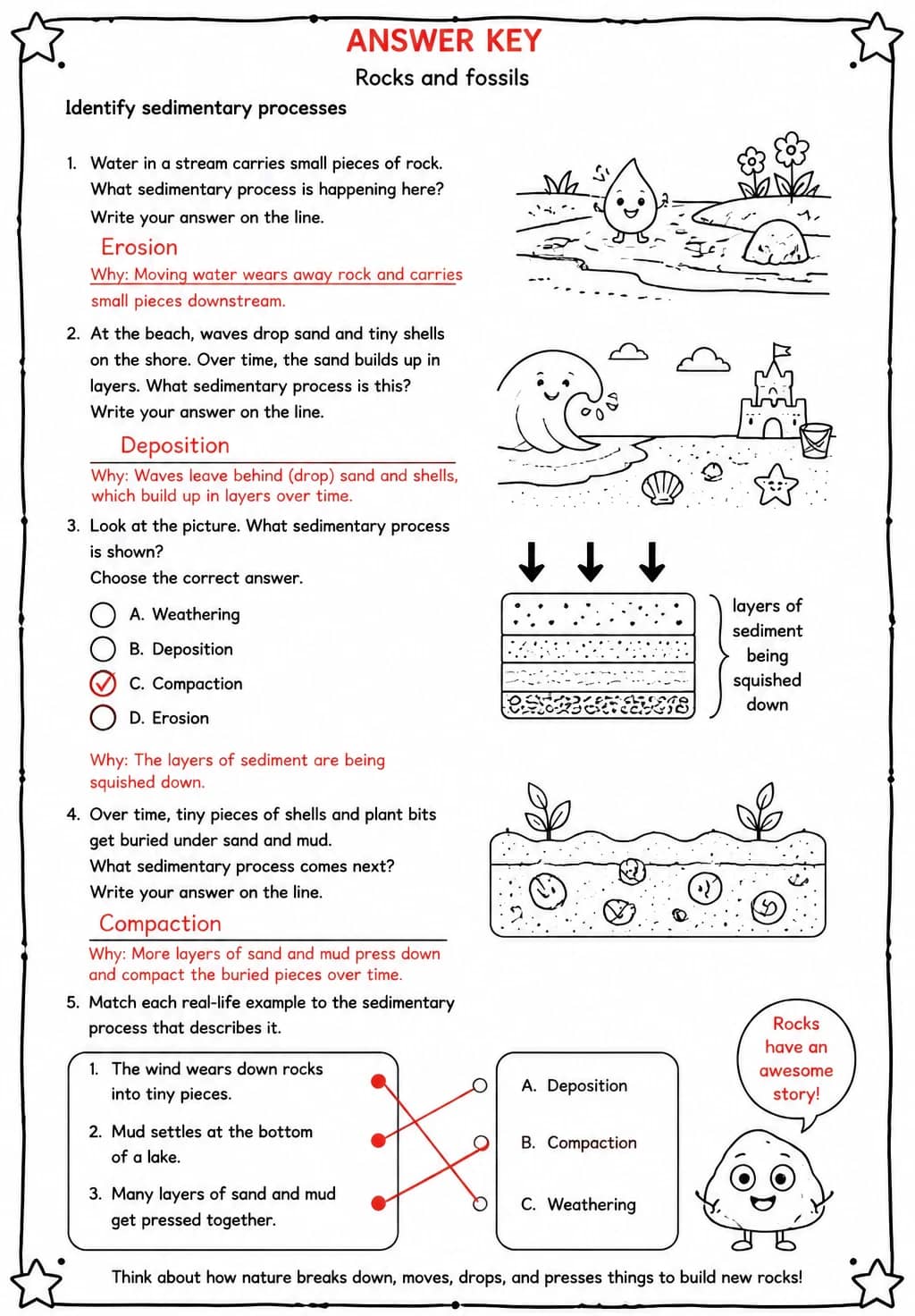 Answer key for Identify sedimentary processes — free printable Science worksheet