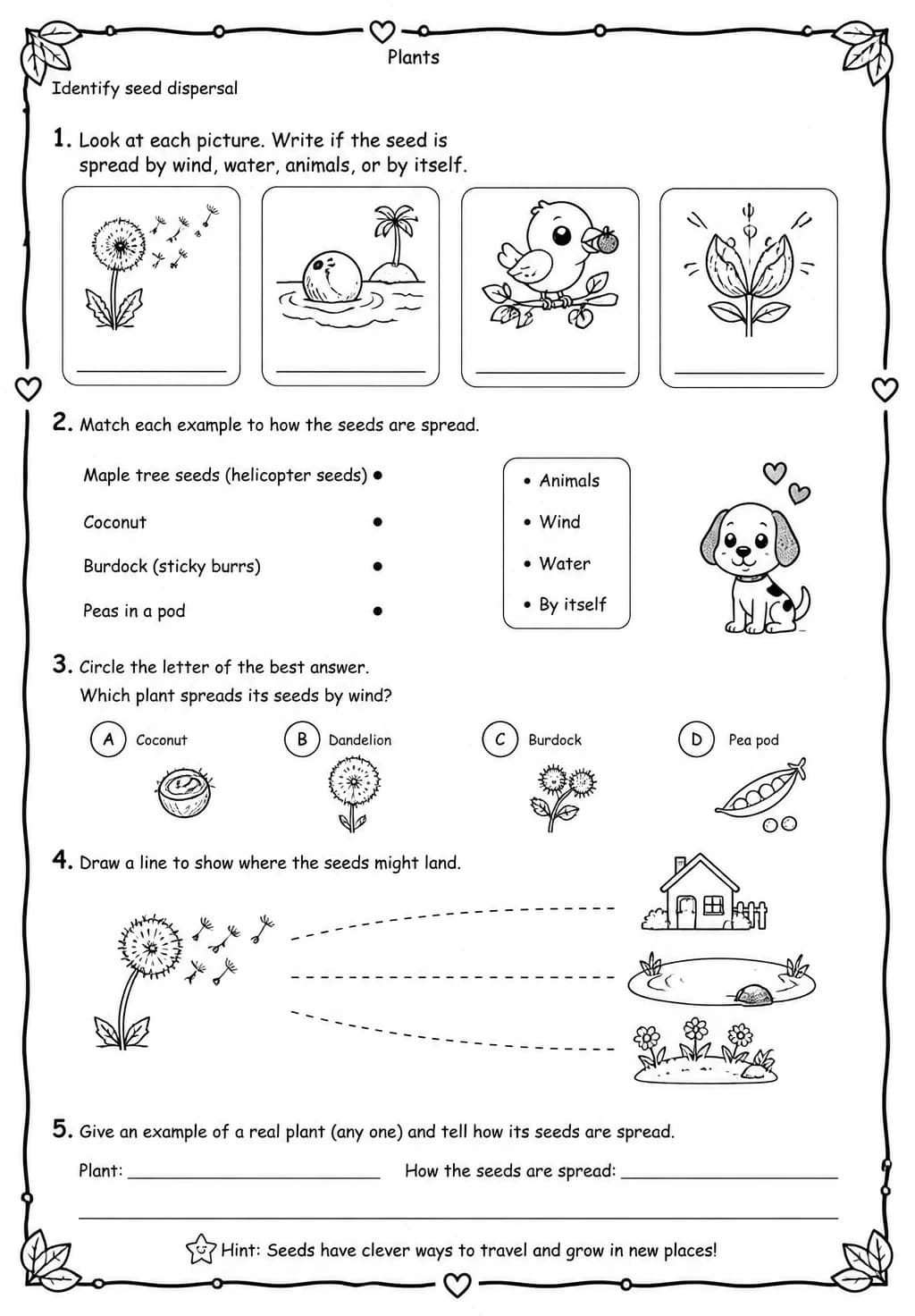 Identify seed dispersal — free printable Grade 2 Science worksheet