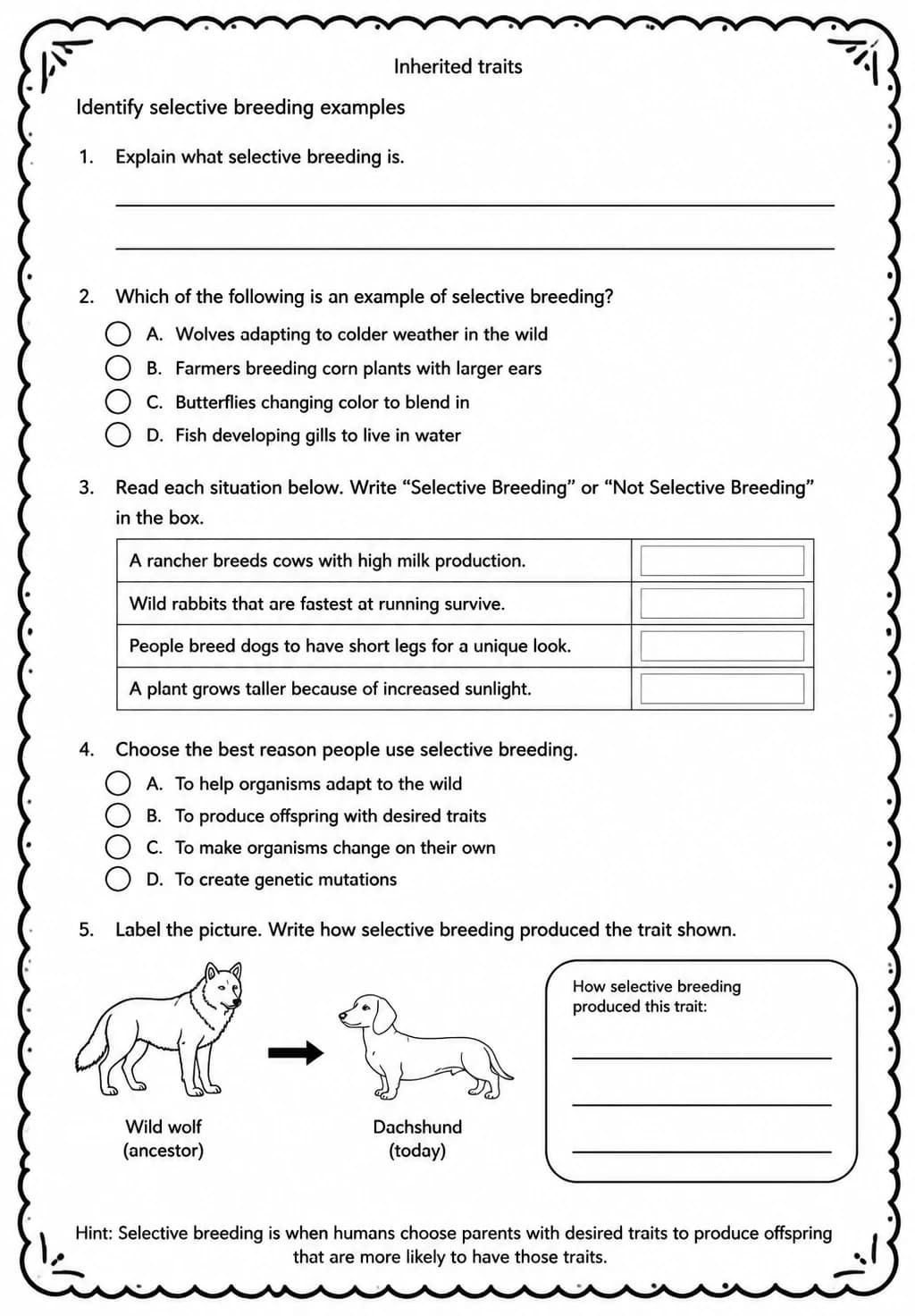 Identify selective breeding examples — free printable Grade 5 Science worksheet