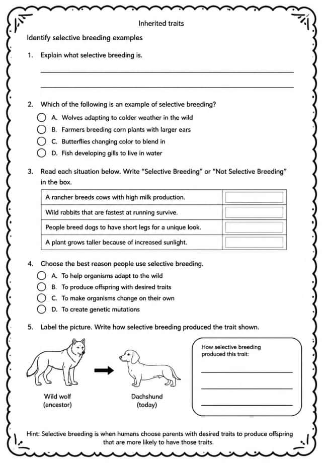 Identify selective breeding examples