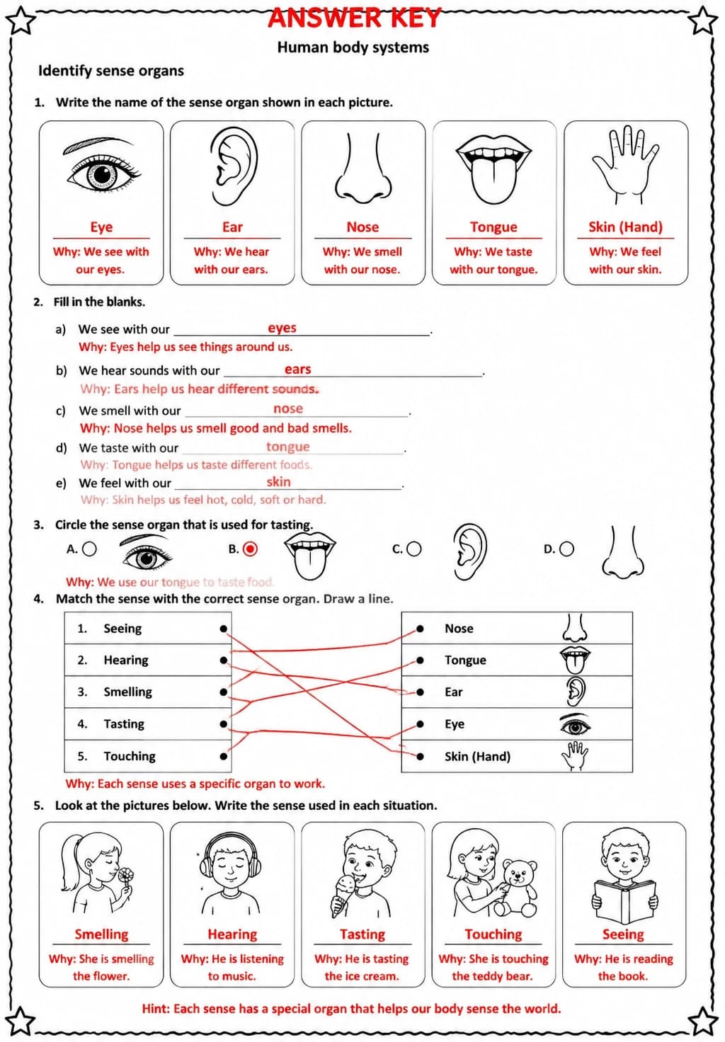 Answer key for Identify sense organs — free printable Science worksheet