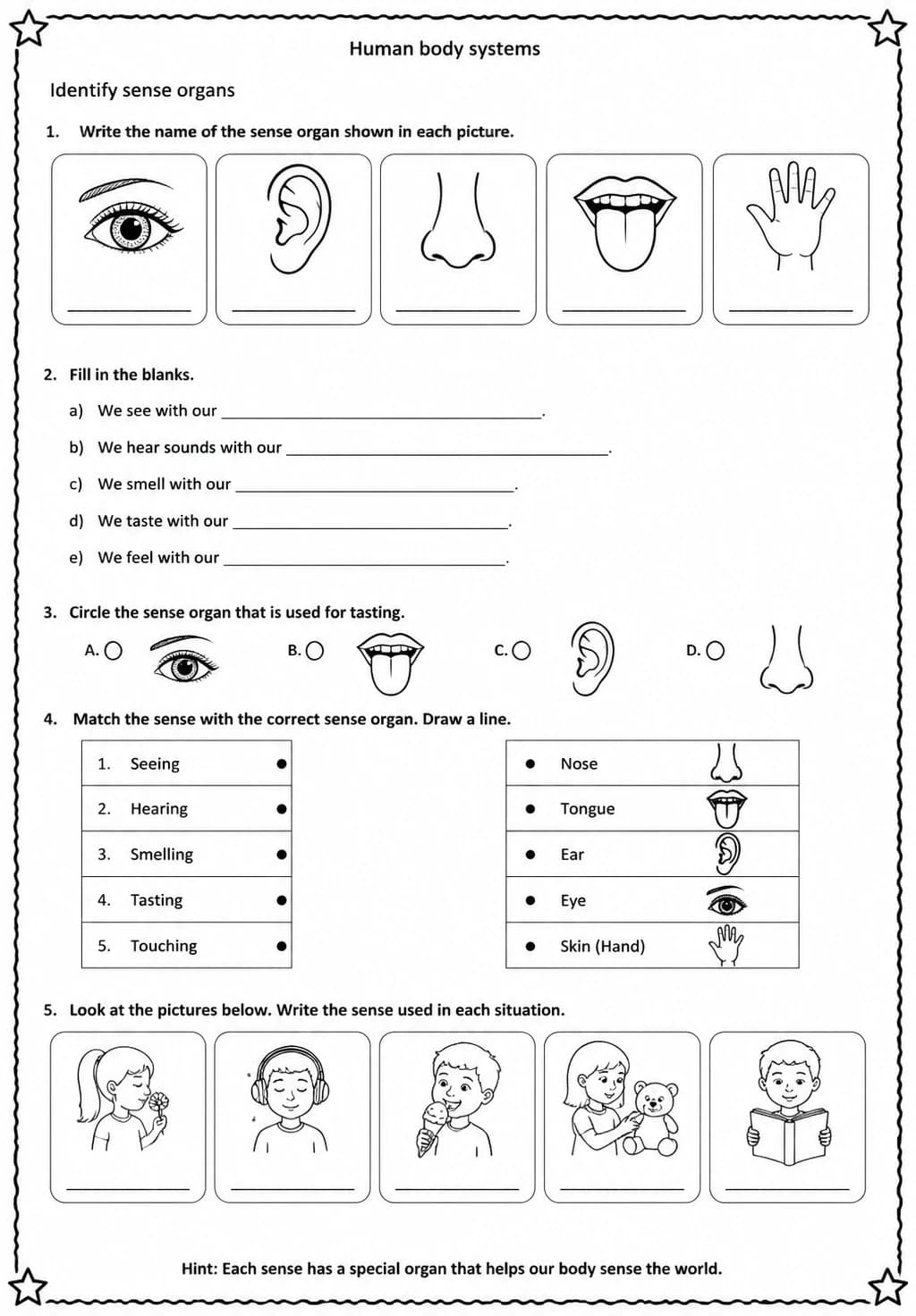 Identify sense organs — free printable Grade 5 Science worksheet