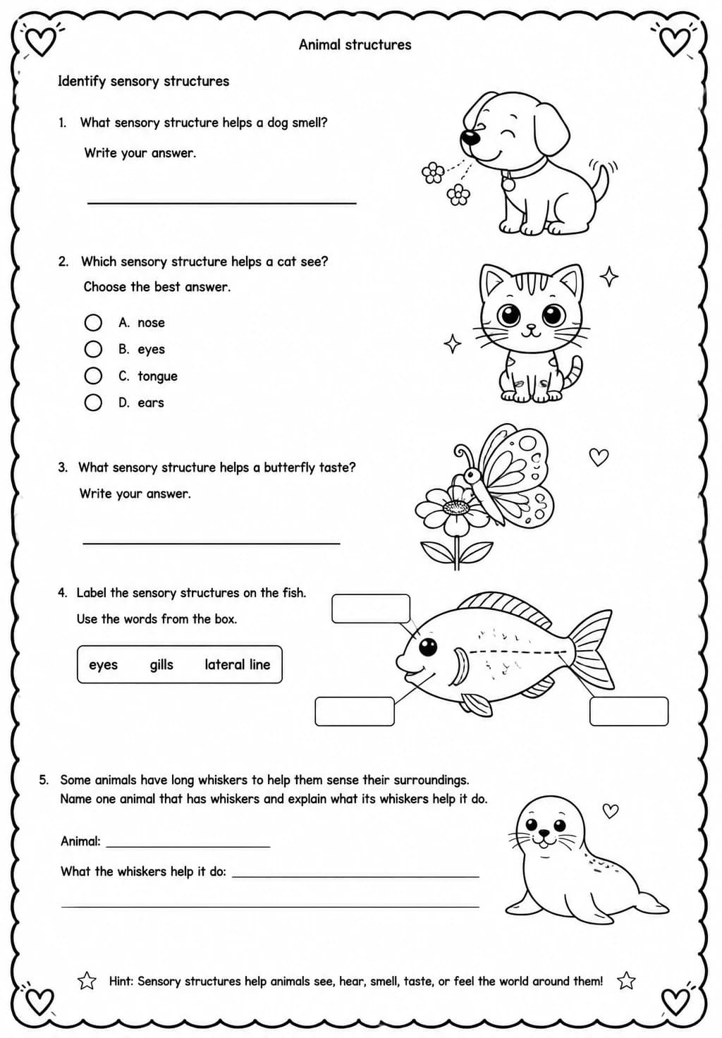 Identify sensory structures — free printable Grade 4 Science worksheet