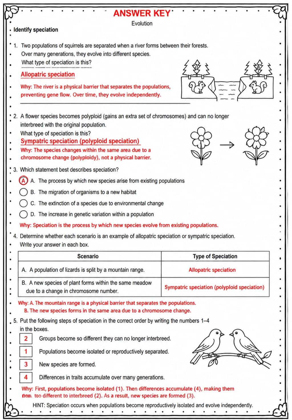 Answer key for Identify speciation — free printable Science worksheet