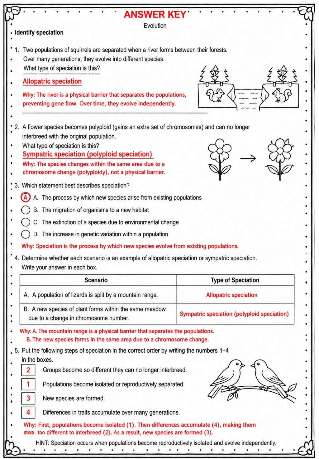 Answer key for Identify speciation — free printable Science worksheet