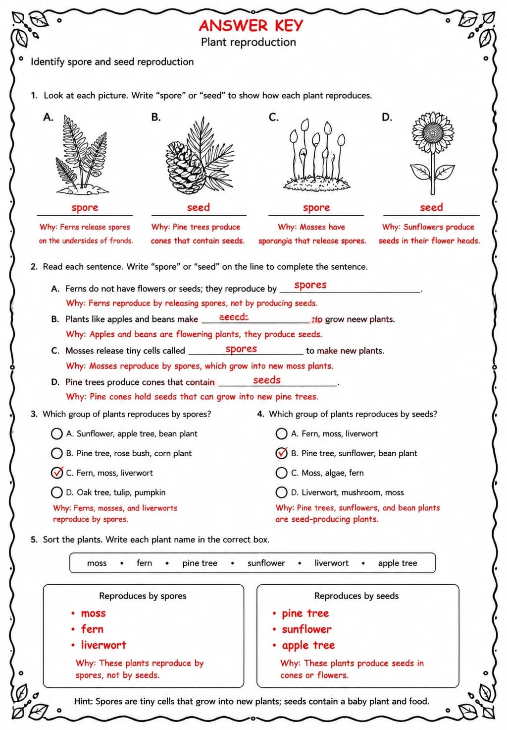 Answer key for Identify spore and seed reproduction — free printable Science worksheet