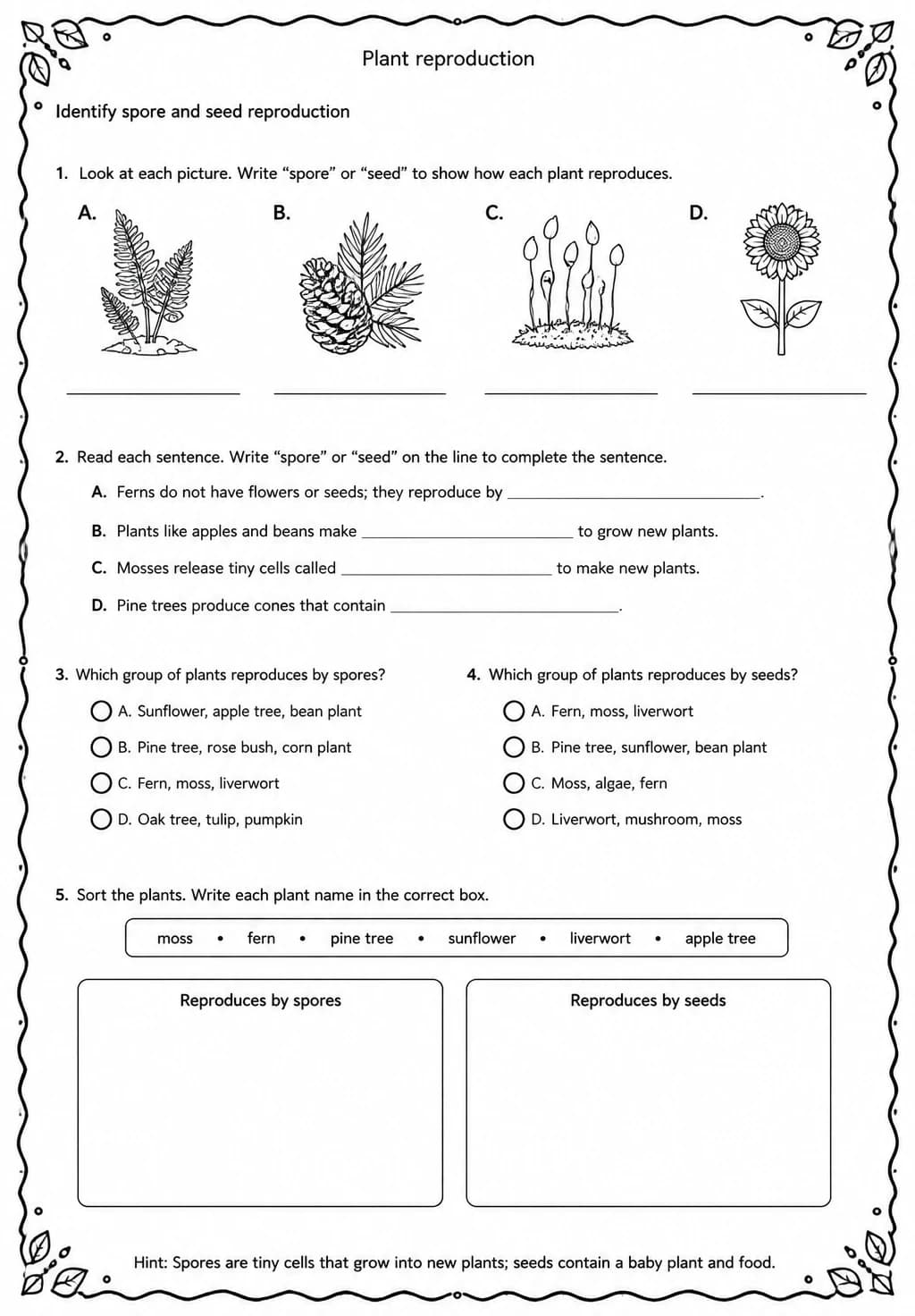 Identify spore and seed reproduction — free printable Middle School Science worksheet
