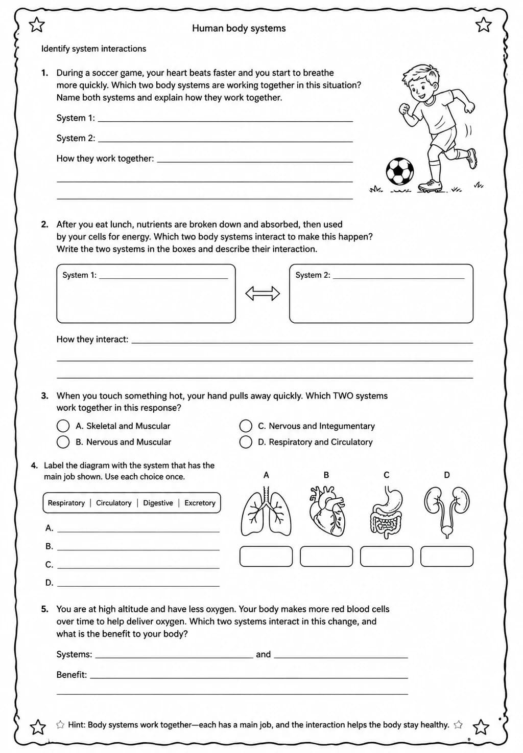 Identify system interactions — free printable Grade 5 Science worksheet