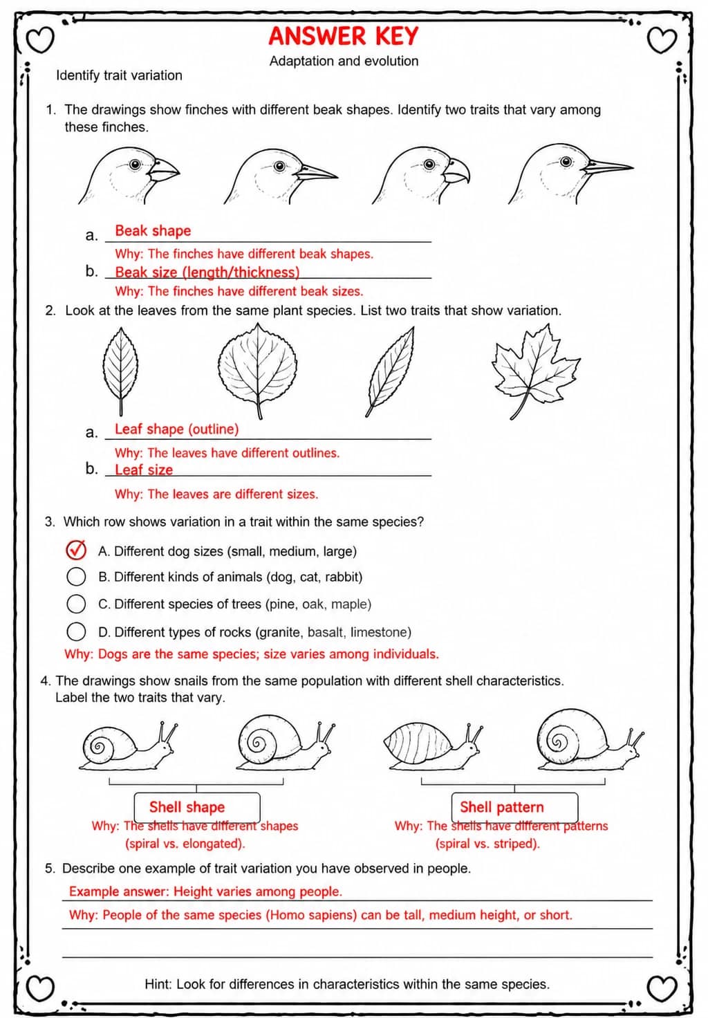 Answer key for Identify trait variation — free printable Science worksheet