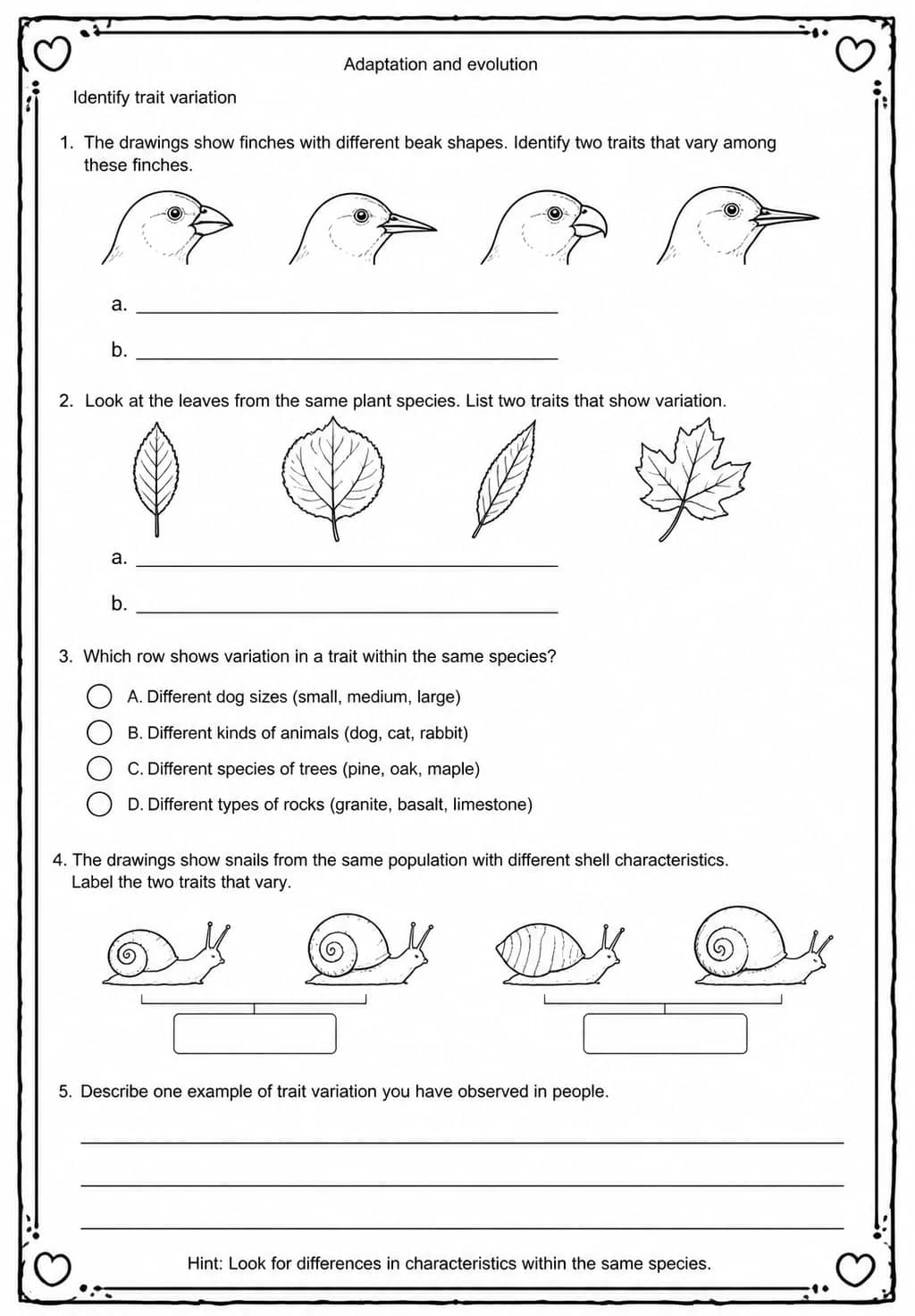 Identify trait variation — free printable Middle School Science worksheet