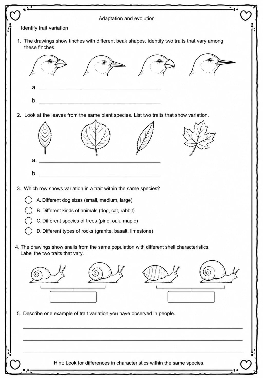 Identify trait variation — free printable Middle School Science worksheet