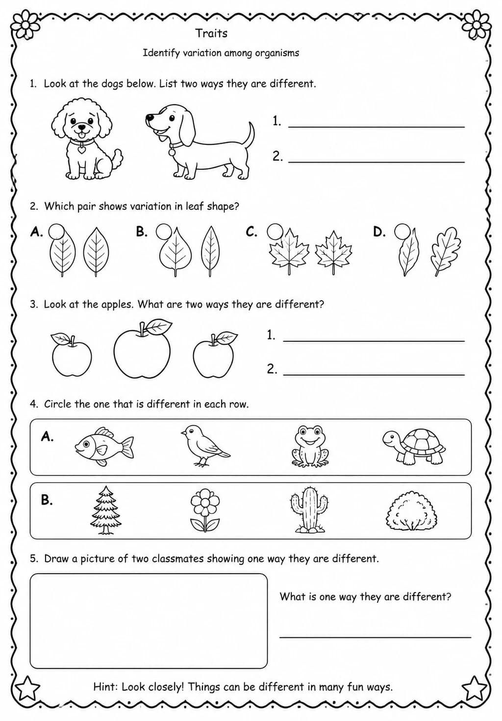 Identify variation among organisms — free printable Grade 2 Science worksheet