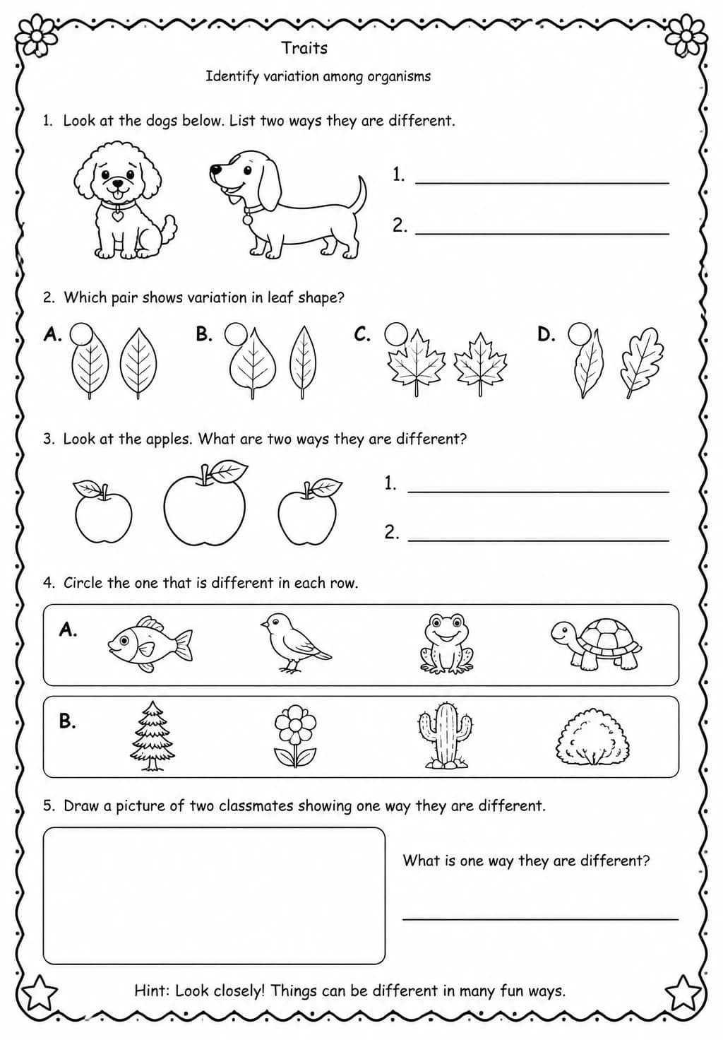 Identify variation among organisms — free printable Grade 2 Science worksheet