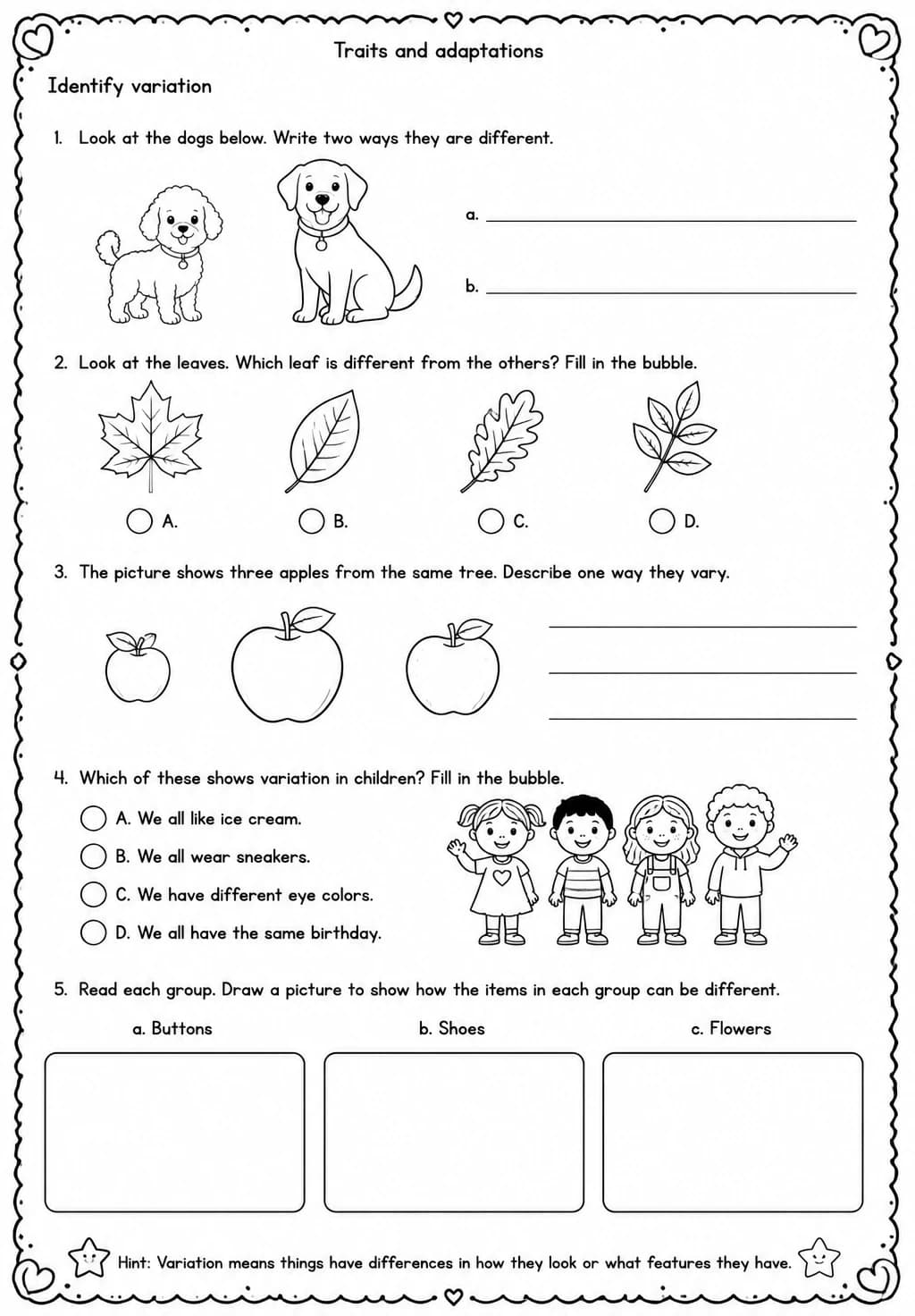 Identify variation — free printable Grade 3 Science worksheet