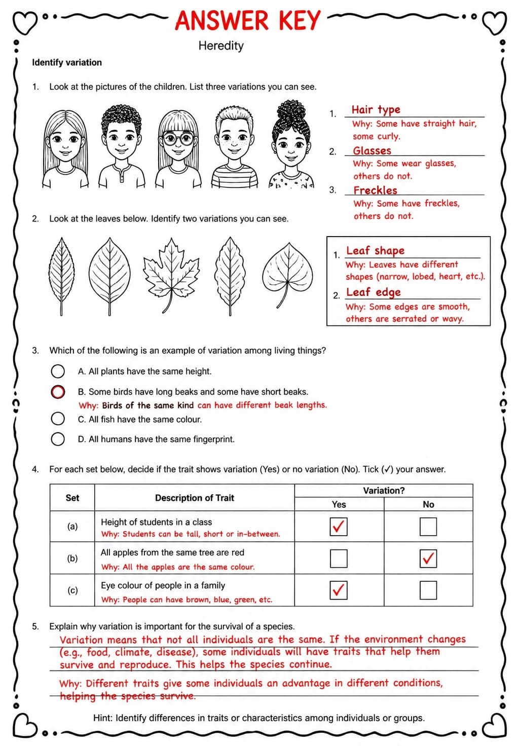 Answer key for Identify variation — free printable Science worksheet