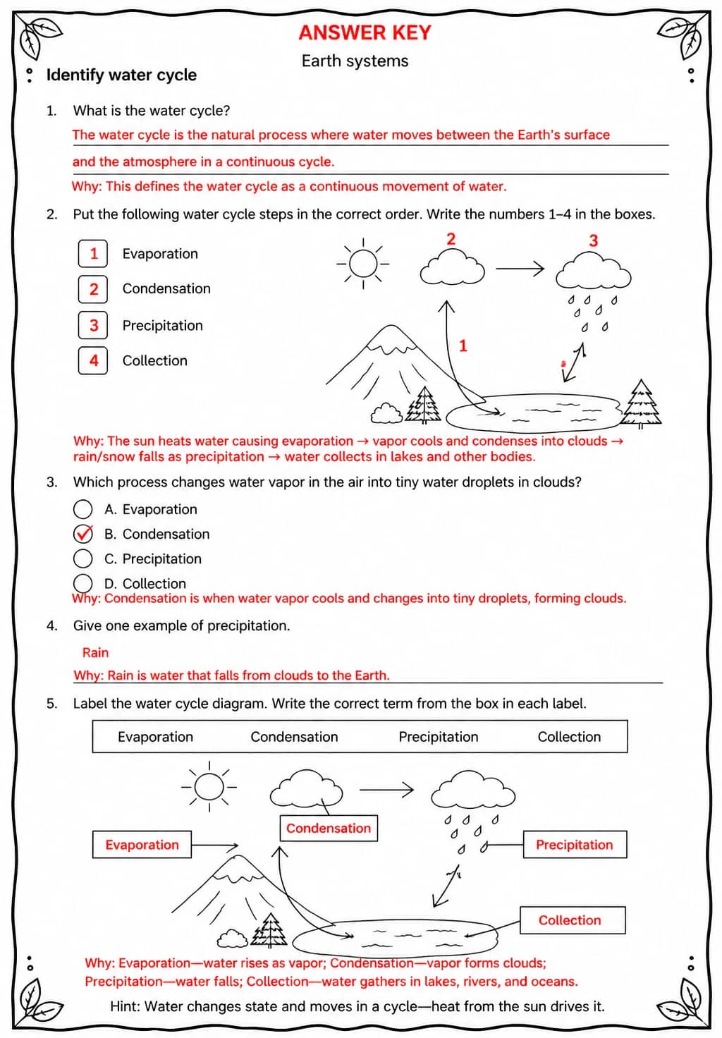 Answer key for Identify water cycle — free printable Science worksheet