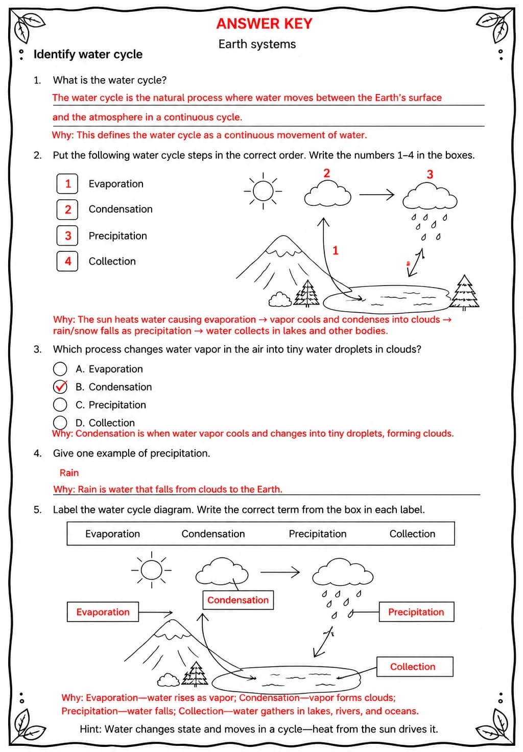 Answer key for Identify water cycle — free printable Science worksheet