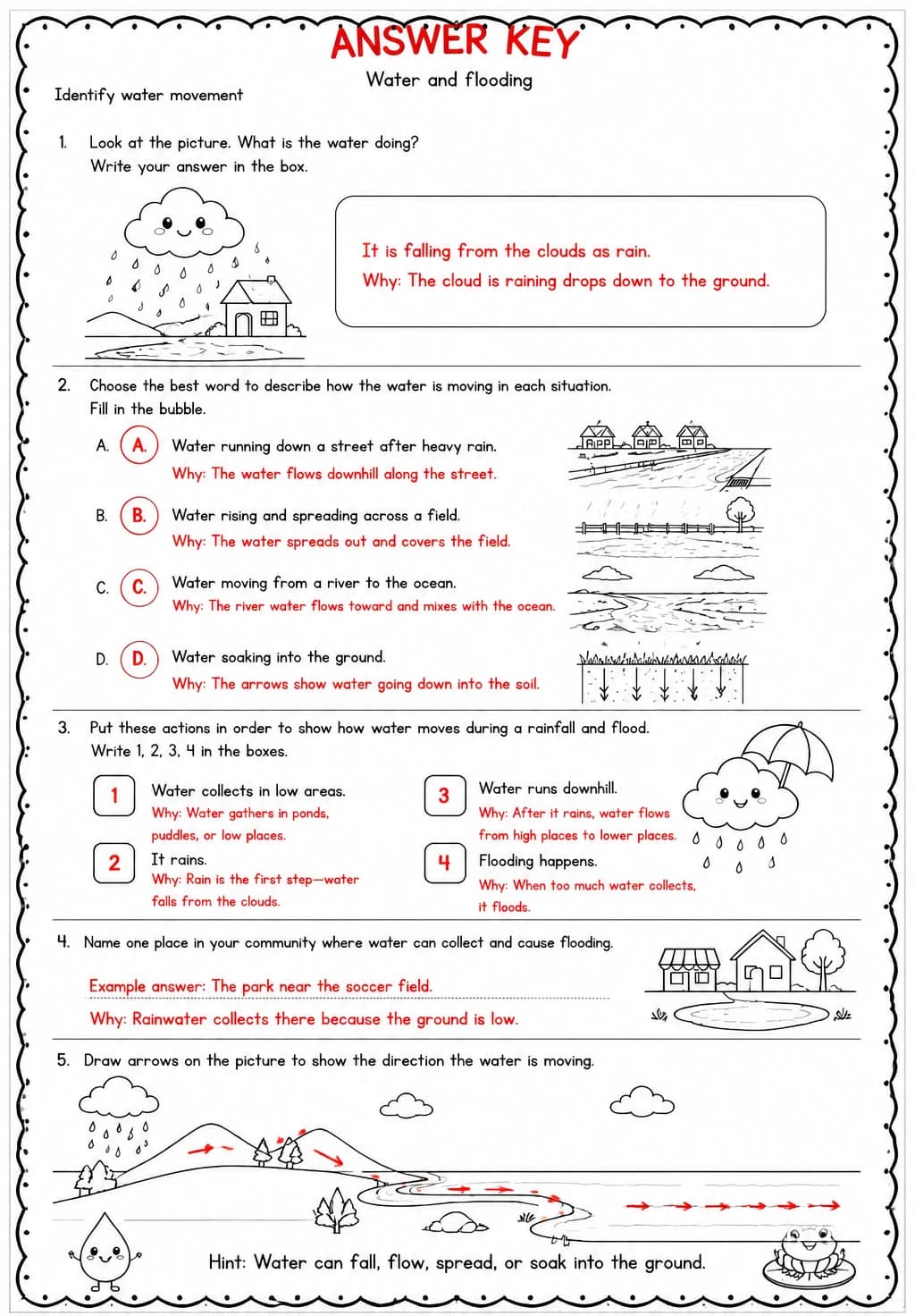 Answer key for Identify water movement — free printable Science worksheet