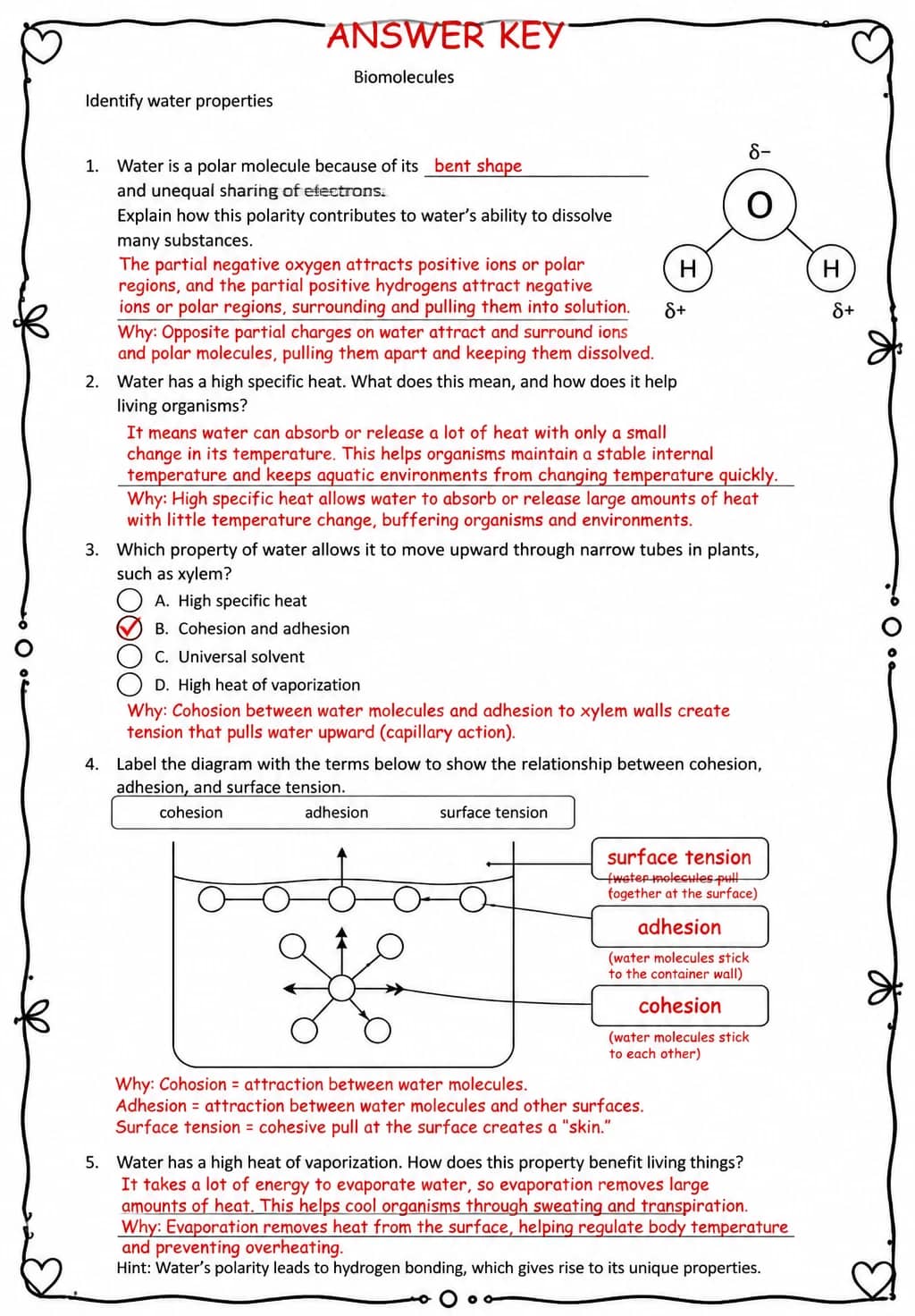 Answer key for Identify water properties — free printable Science worksheet