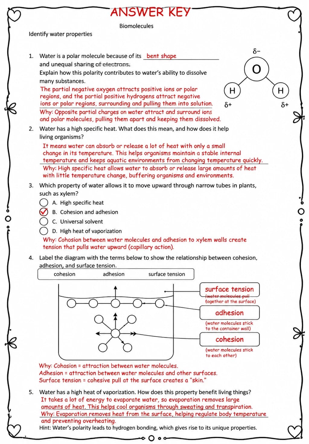 Answer key for Identify water properties — free printable Science worksheet