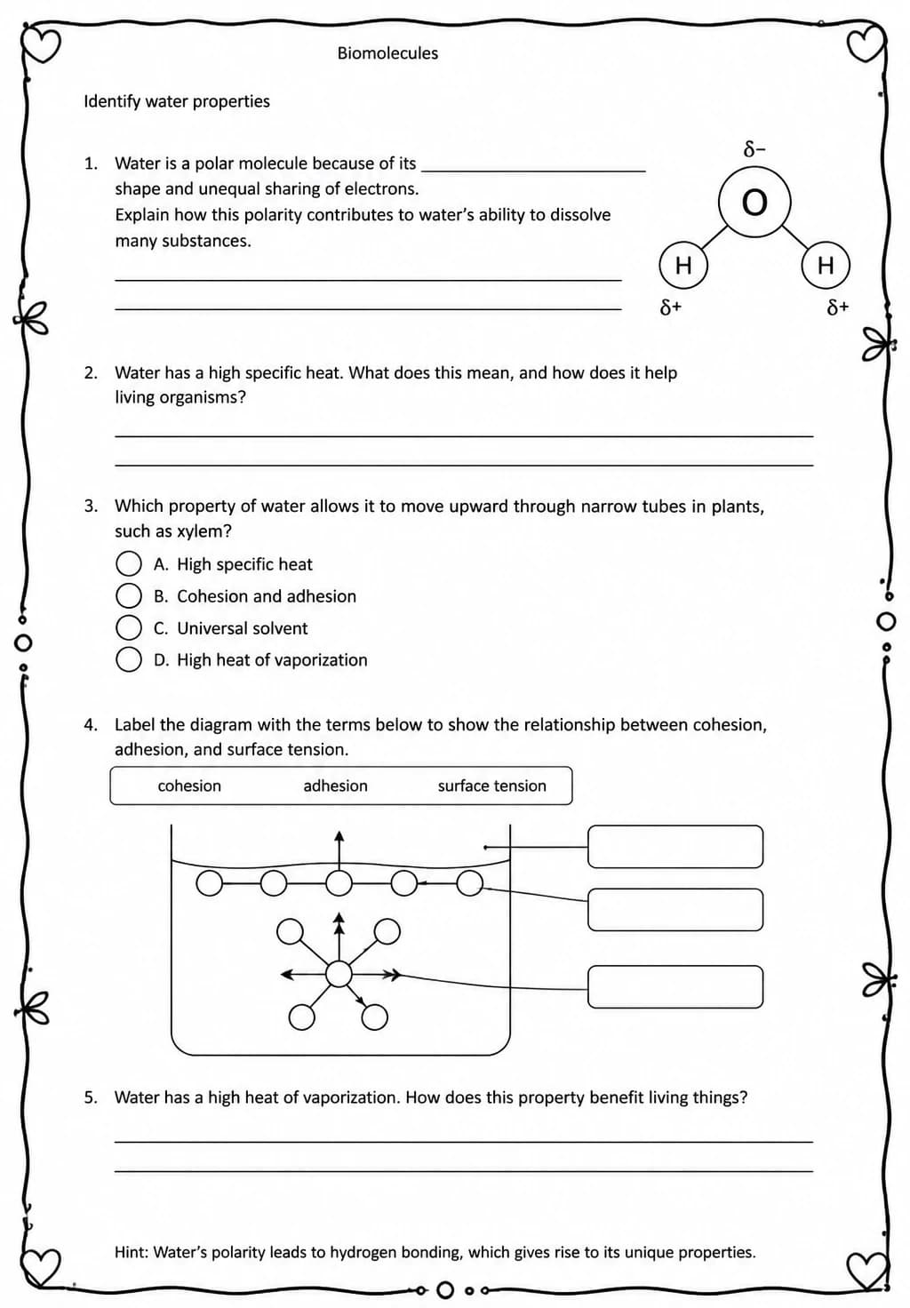 Identify water properties — free printable High School Science worksheet