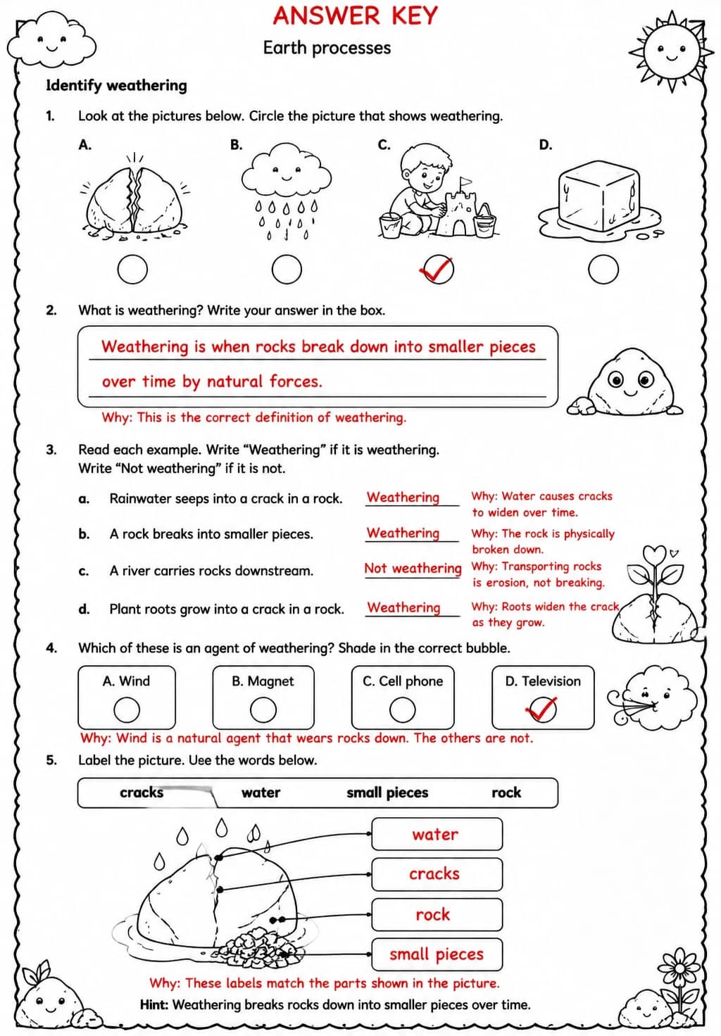 Answer key for Identify weathering — free printable Science worksheet