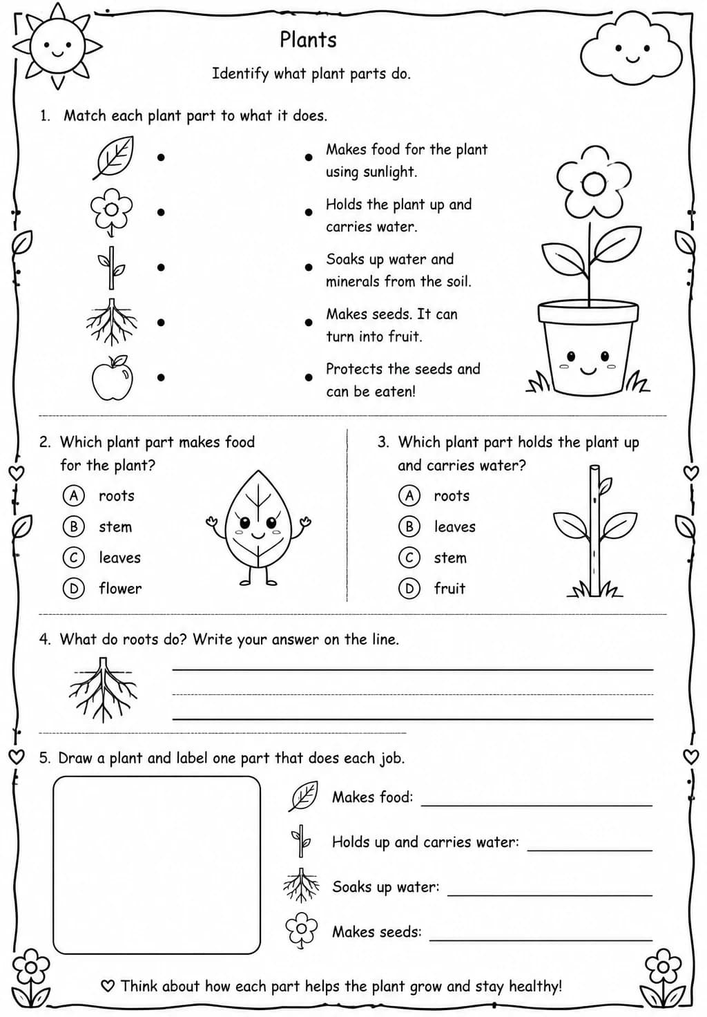 Identify what plant parts do — free printable Kindergarten Science worksheet