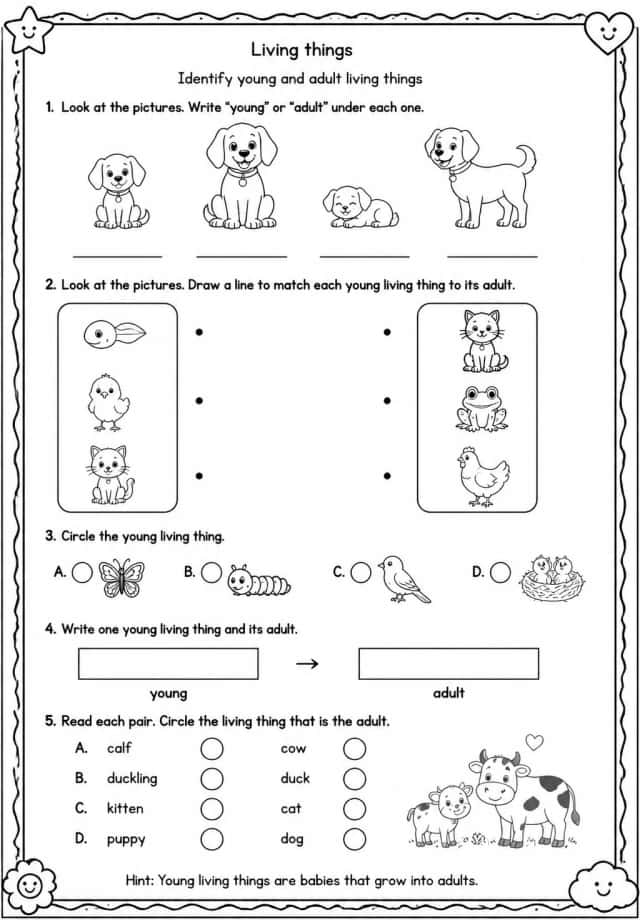 Identify young and adult living things