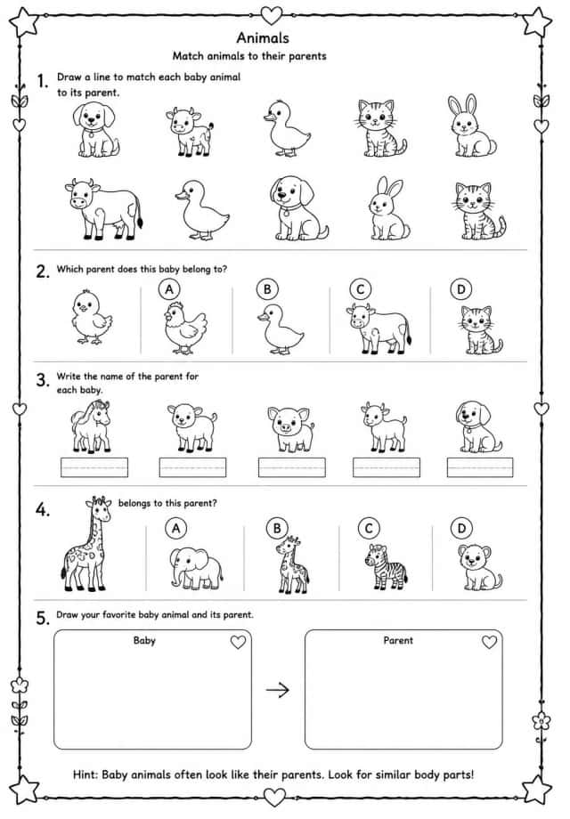Match animals to their parents