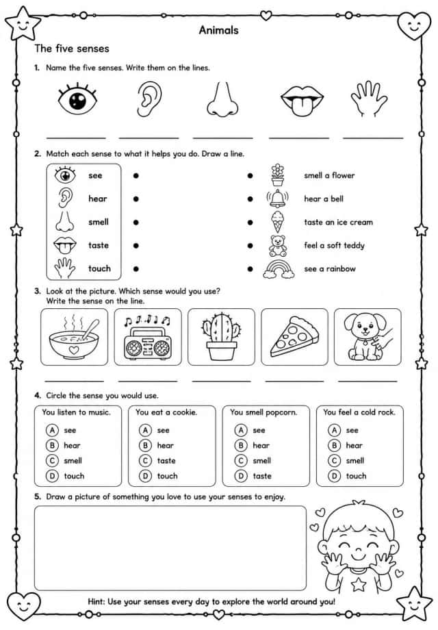 The five senses