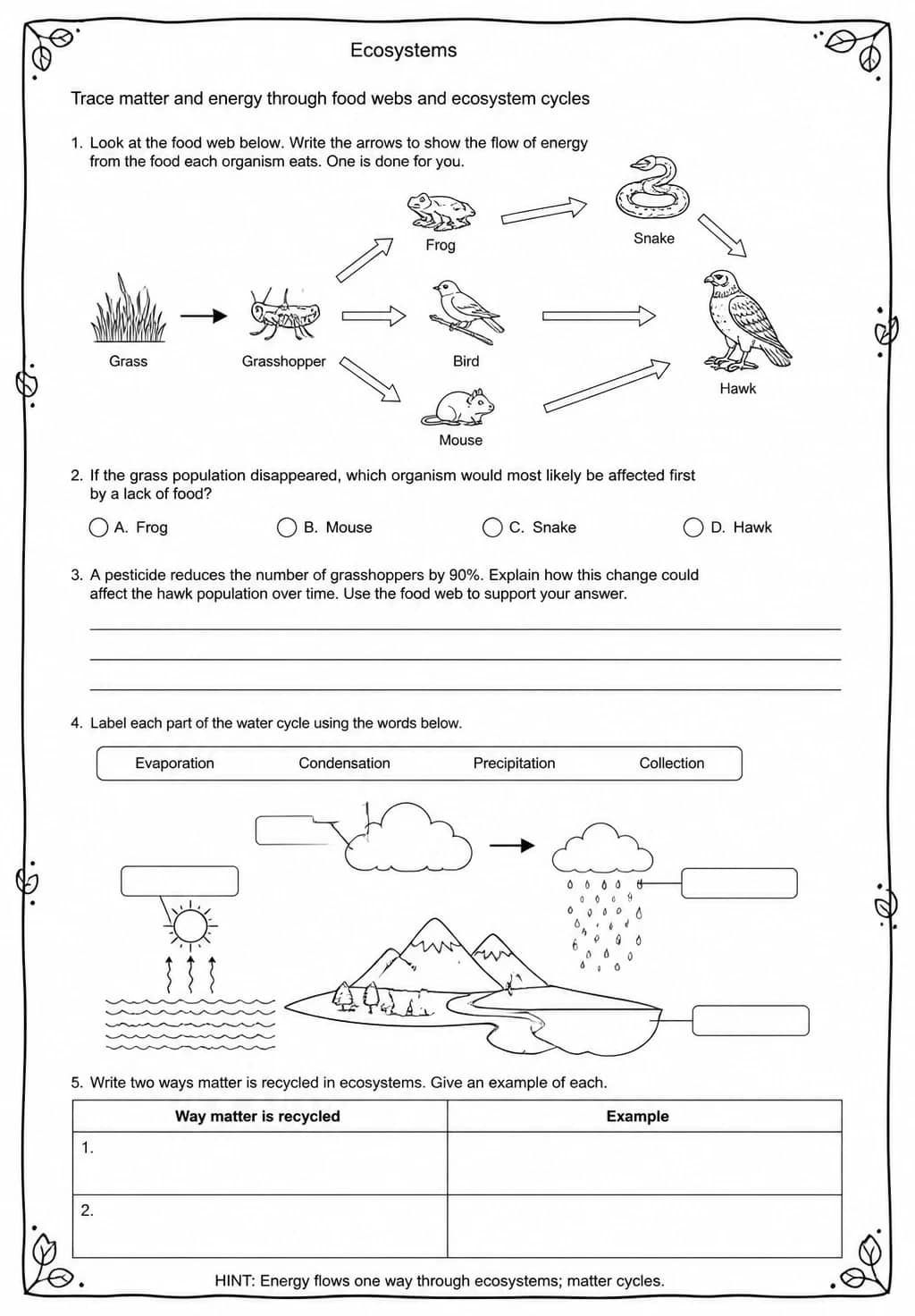 Trace matter and energy through food webs and ecosystem cycles — free printable High School Science worksheet