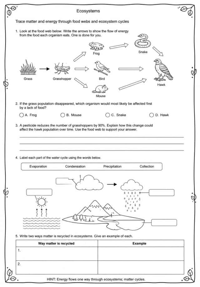 Trace matter and energy through food webs and ecosystem cycles