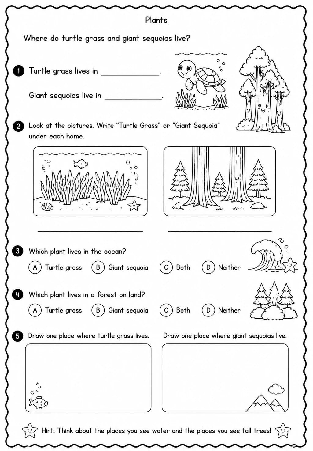 Where do turtle grass and giant sequoias live? — free printable Kindergarten Science worksheet