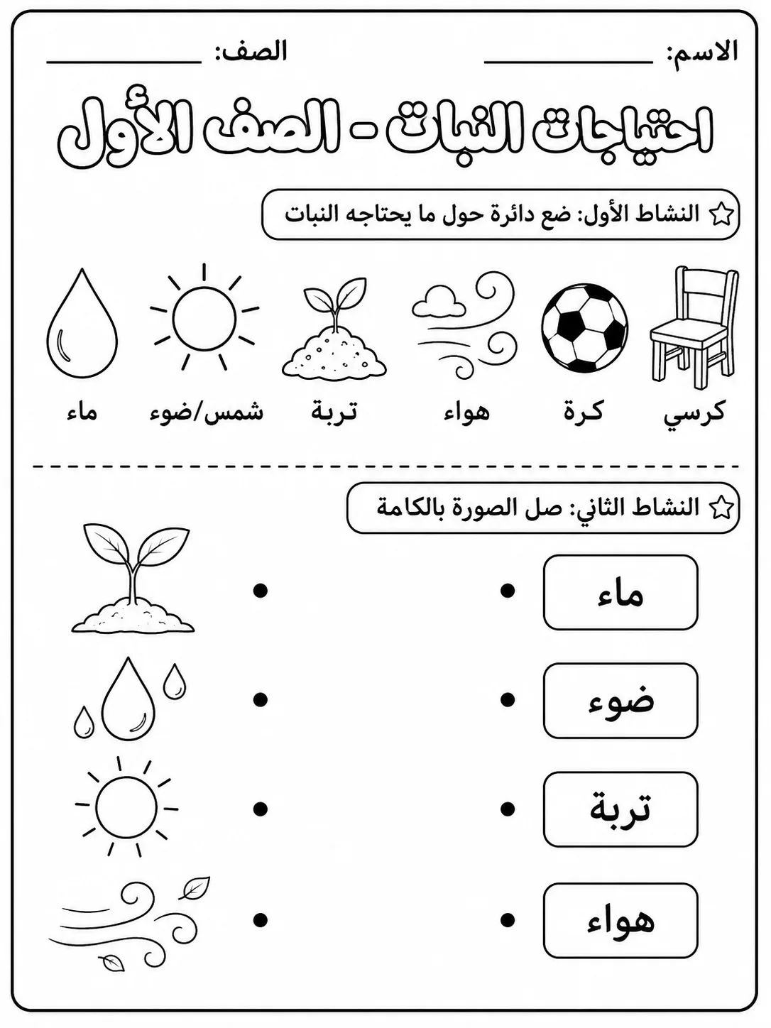 احتياجات النبات - الصف الأول - ورقة عمل علوم عربية PDF للطلاب