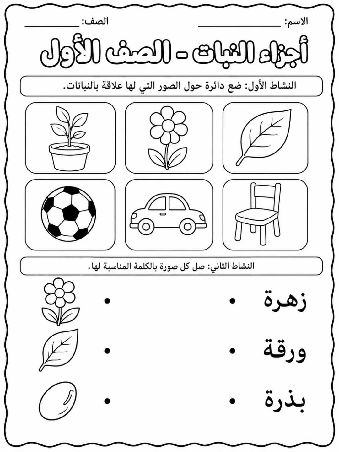 أجزاء النبات - الصف الأول - ورقة عمل علوم عربية PDF للطلاب