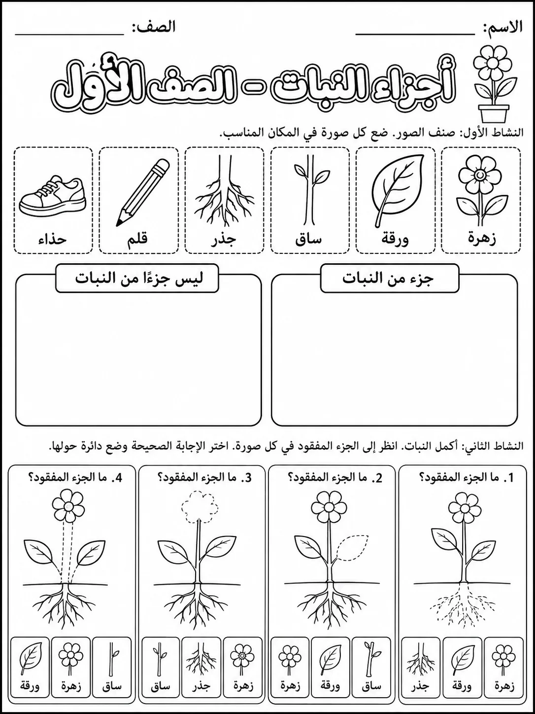 أجزاء النبات - الصف الأول صفحة 4 من مورد علوم عربي
