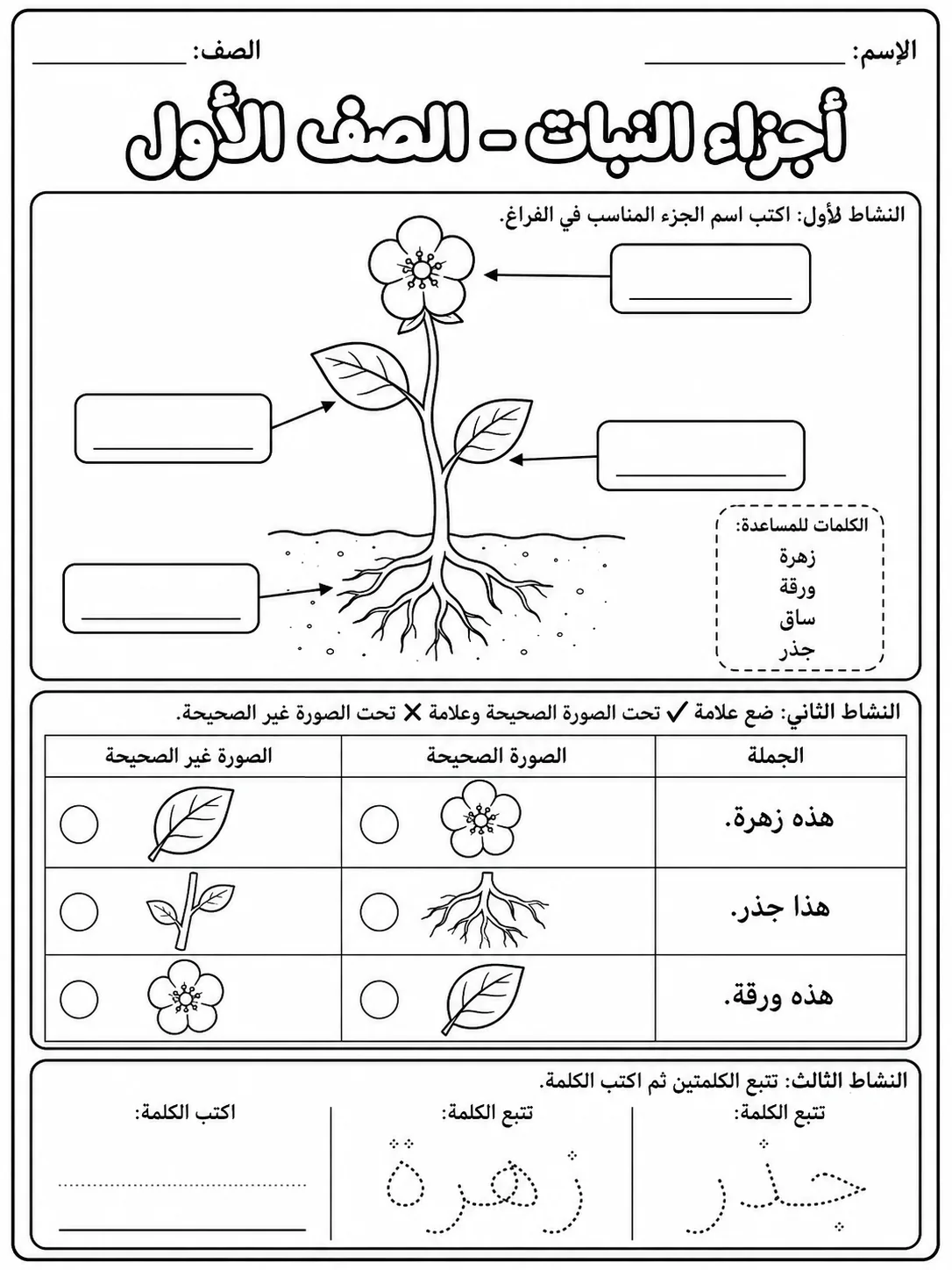 أجزاء النبات - الصف الأول صفحة 6 من مورد علوم عربي