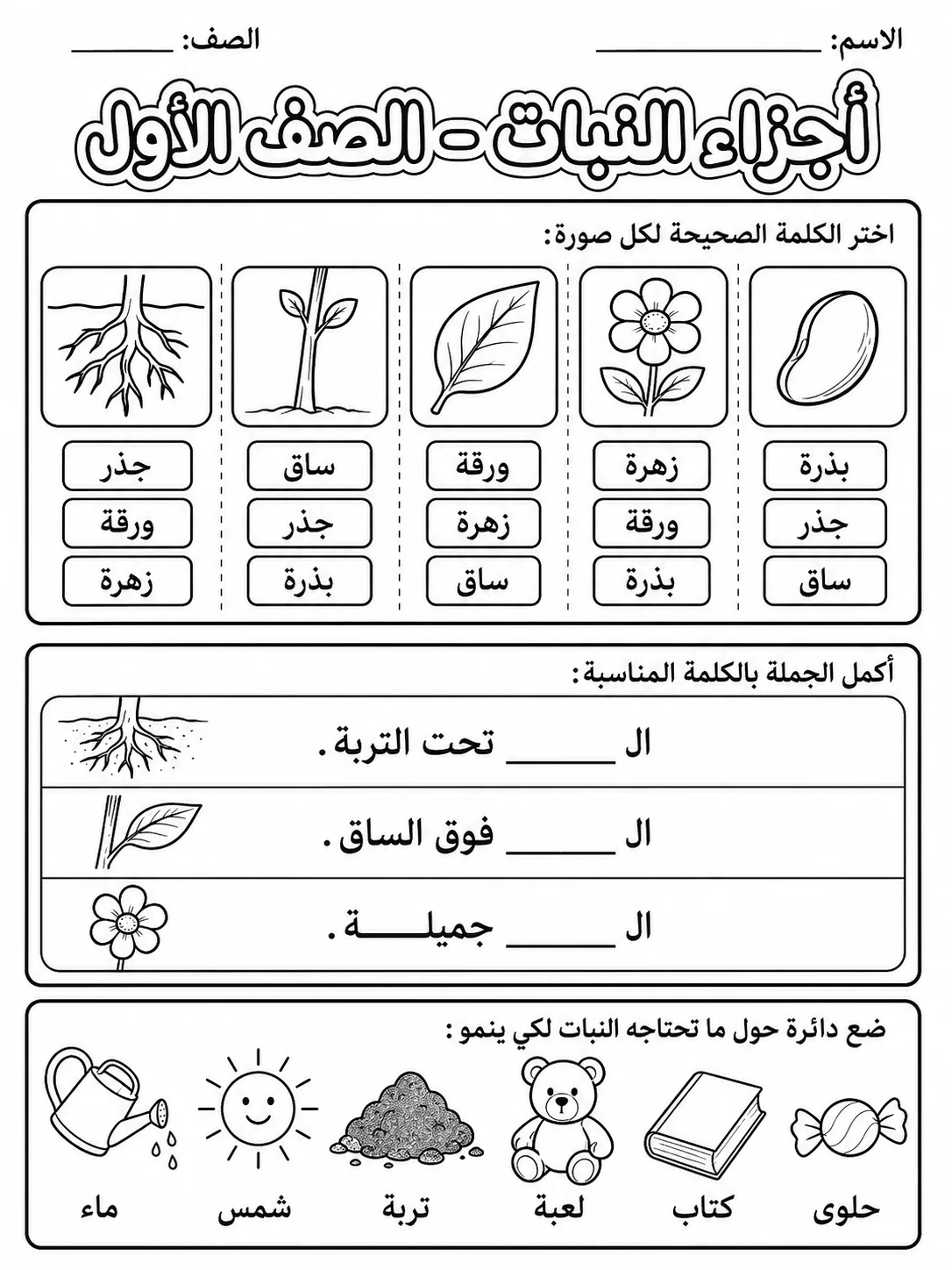 أجزاء النبات - الصف الأول صفحة 7 من مورد علوم عربي