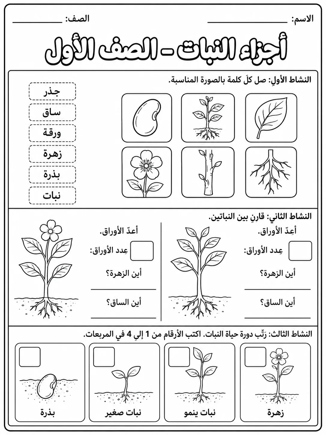 أجزاء النبات - الصف الأول صفحة 8 من مورد علوم عربي