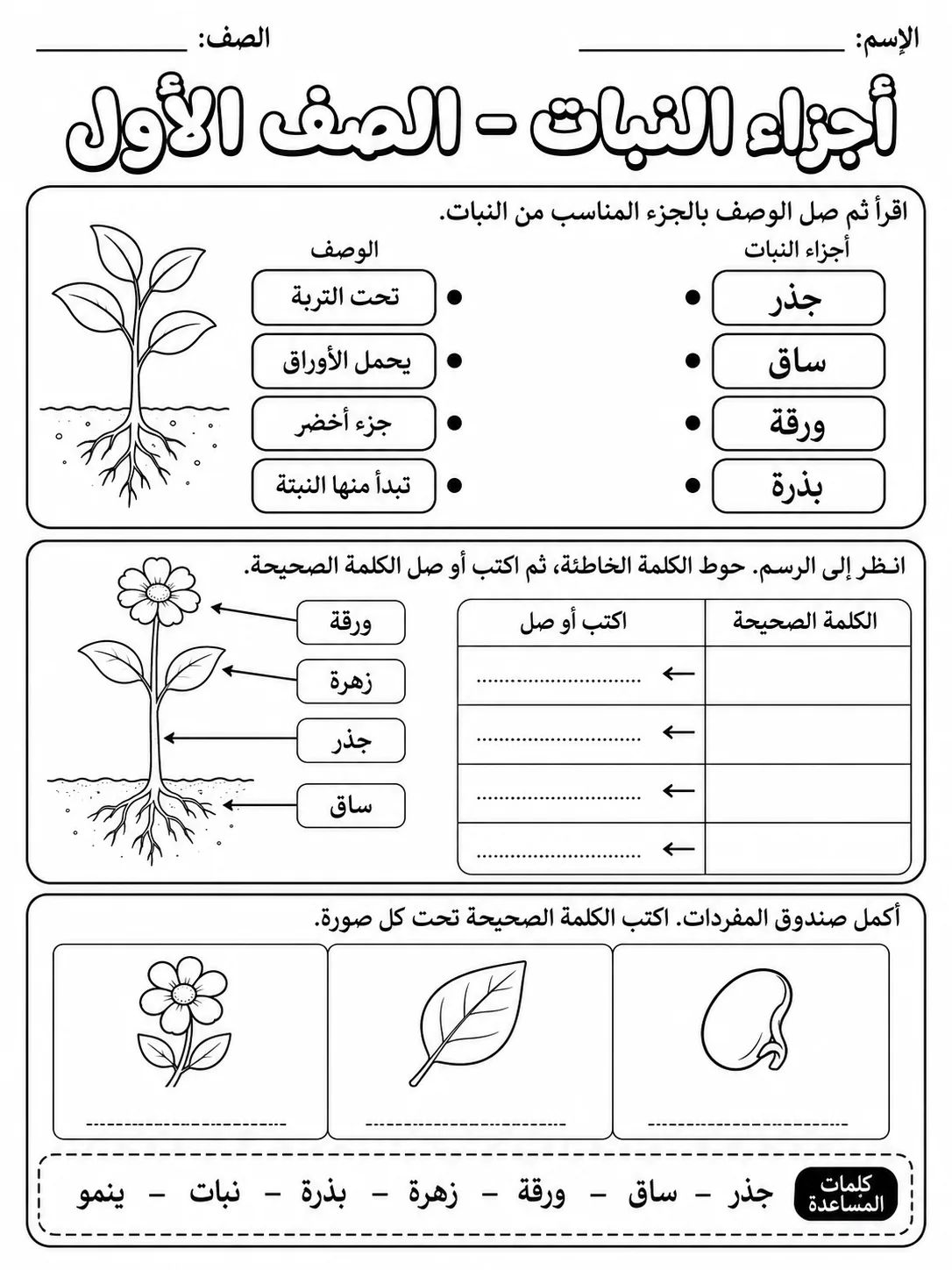 أجزاء النبات - الصف الأول صفحة 9 من مورد علوم عربي