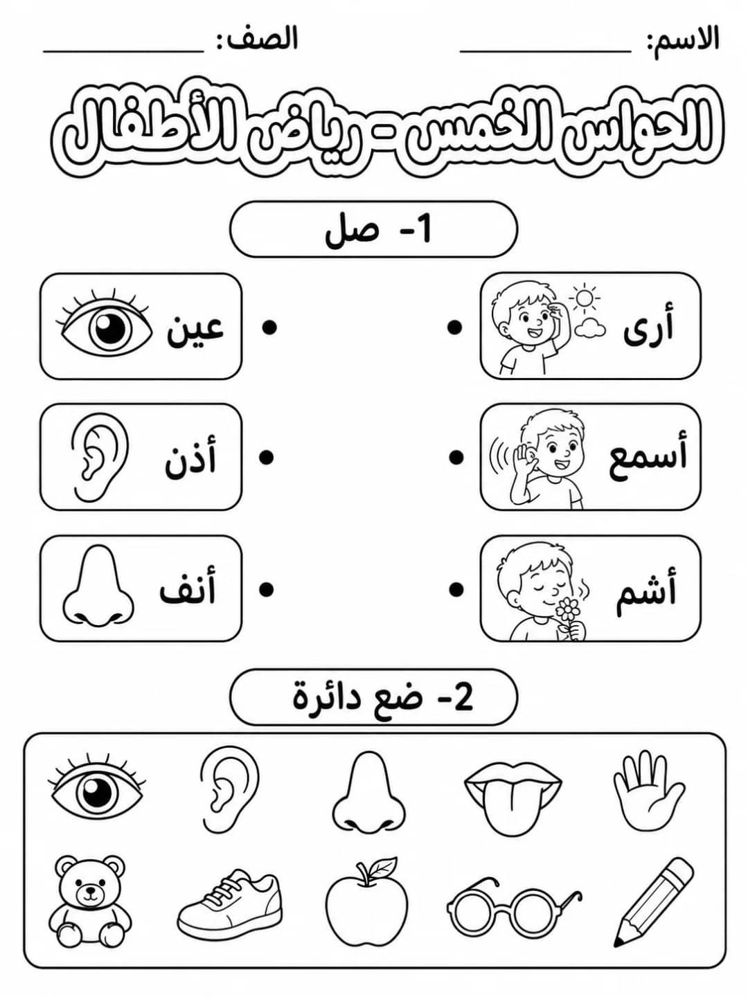 الحواس الخمس - رياض الأطفال - ورقة عمل علوم عربية PDF للطلاب