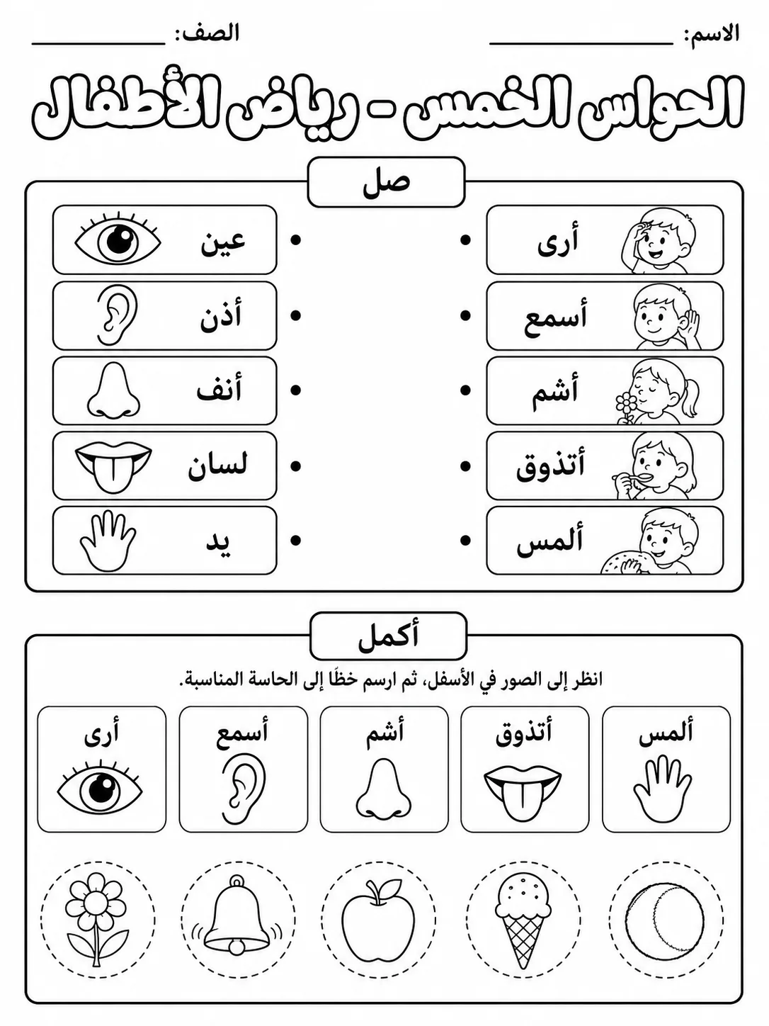 الحواس الخمس - رياض الأطفال - ورقة عمل علوم عربية PDF للطلاب