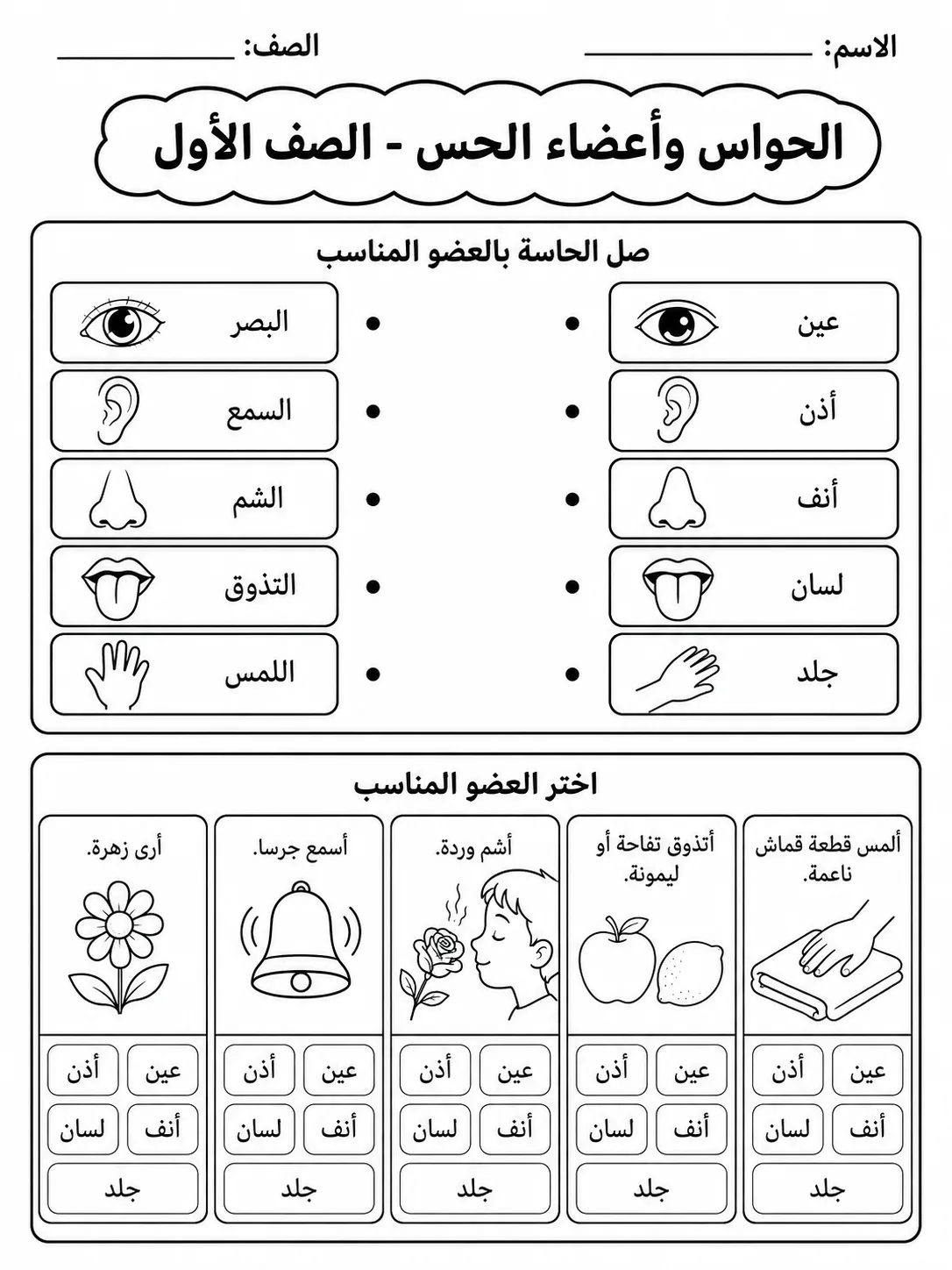 الحواس وأعضاء الحس - الصف الأول صفحة 2 من مورد علوم عربي