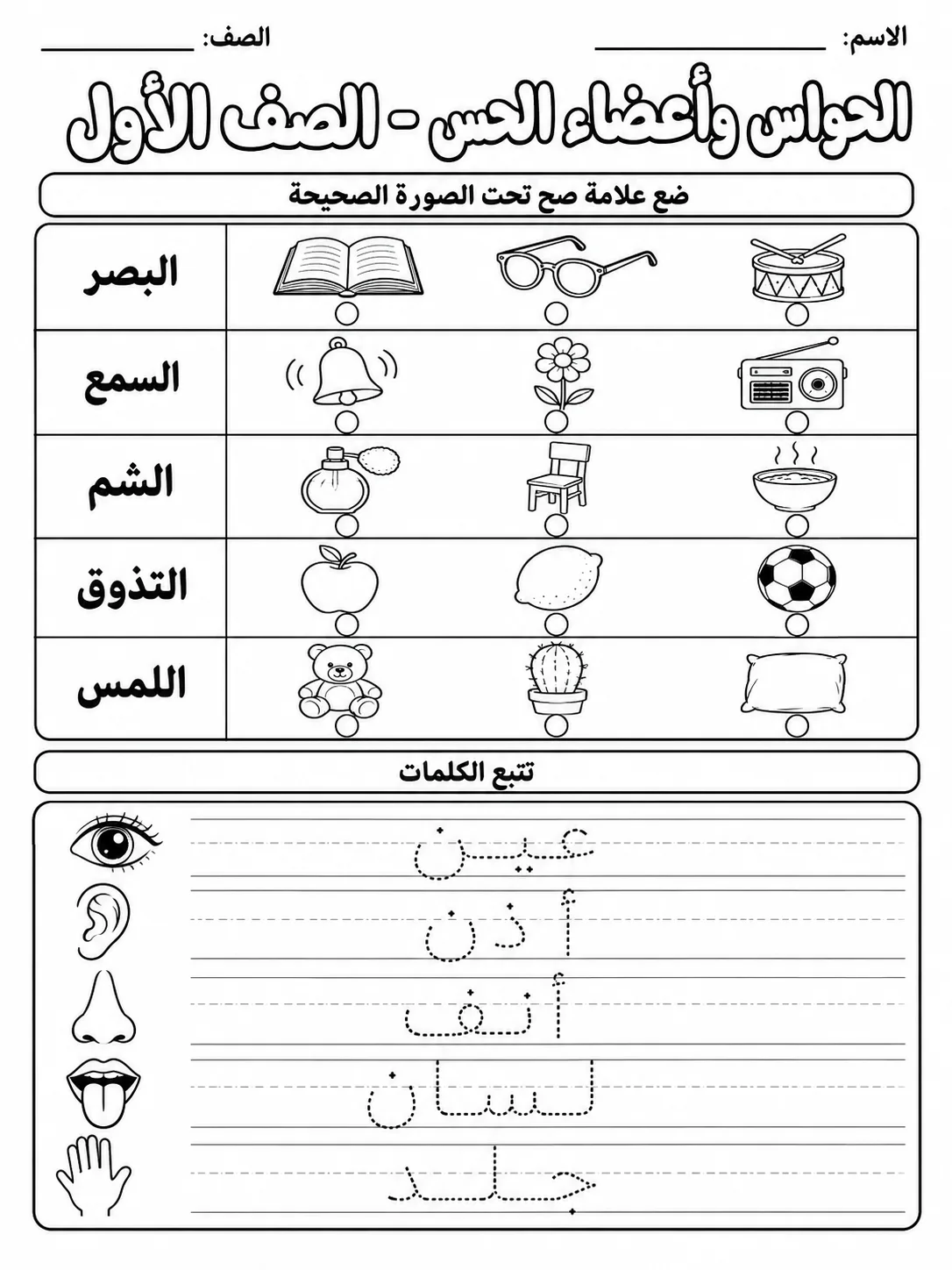 الحواس وأعضاء الحس - الصف الأول صفحة 3 من مورد علوم عربي