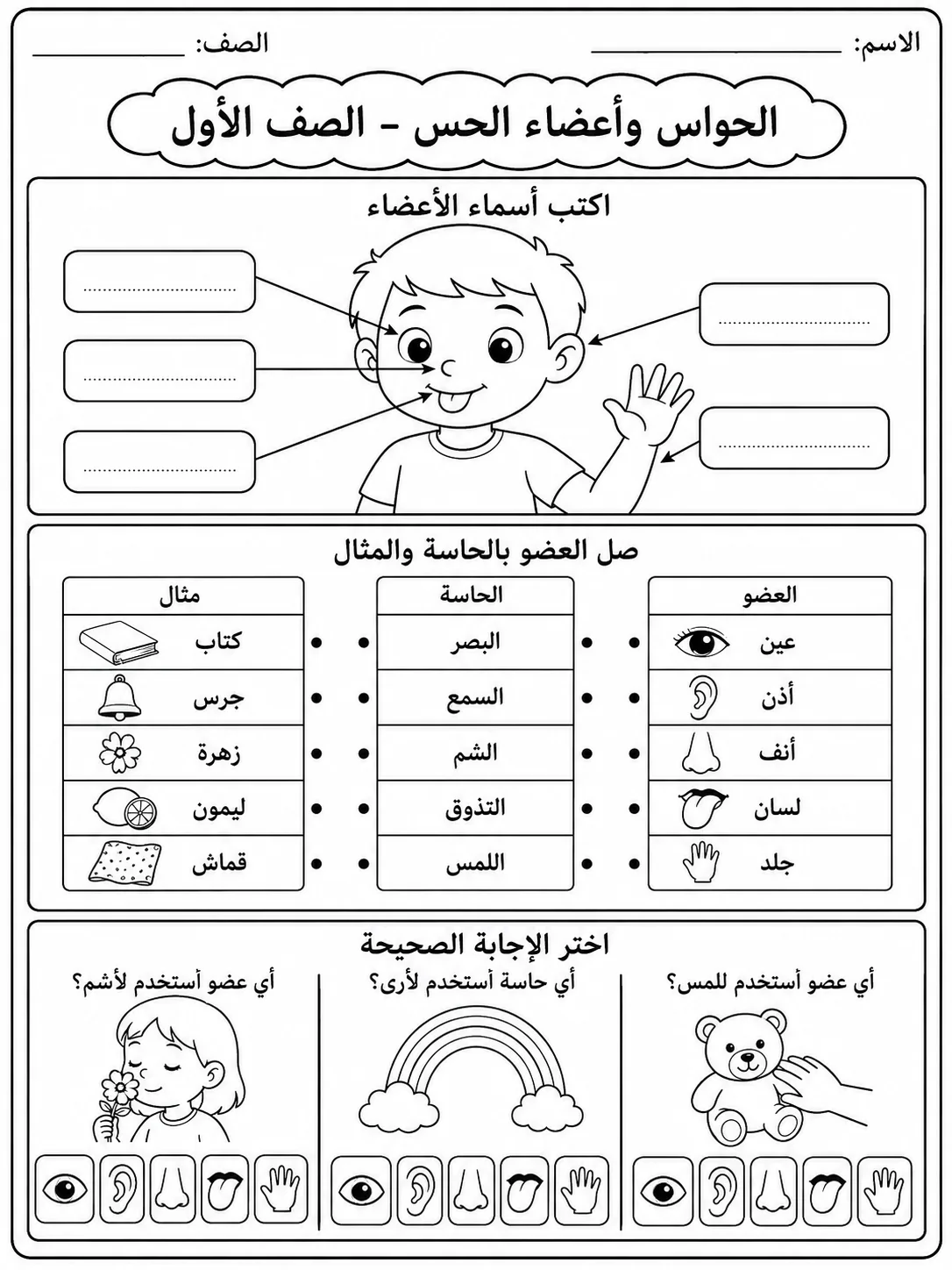 الحواس وأعضاء الحس - الصف الأول صفحة 7 من مورد علوم عربي