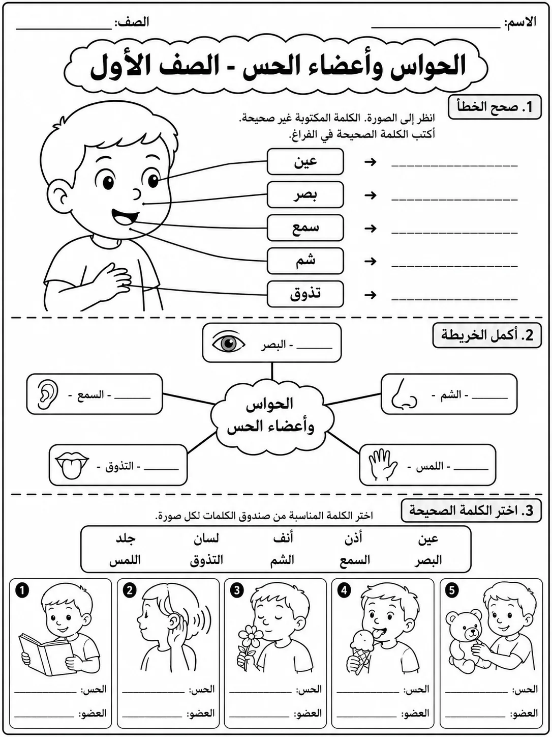 الحواس وأعضاء الحس - الصف الأول صفحة 9 من مورد علوم عربي