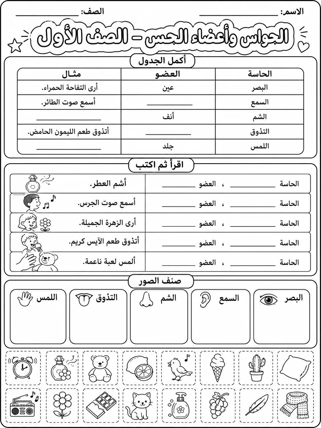 الحواس وأعضاء الحس - الصف الأول صفحة 10 من مورد علوم عربي