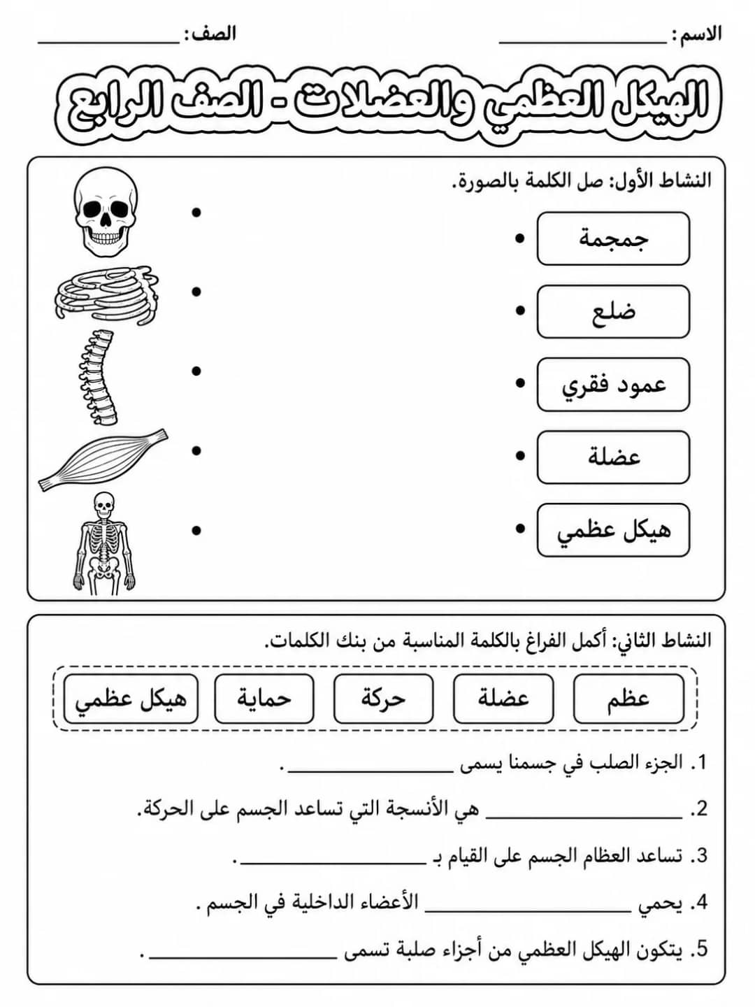 الهيكل العظمي والعضلات - الصف الرابع - ورقة عمل علوم عربية PDF للطلاب